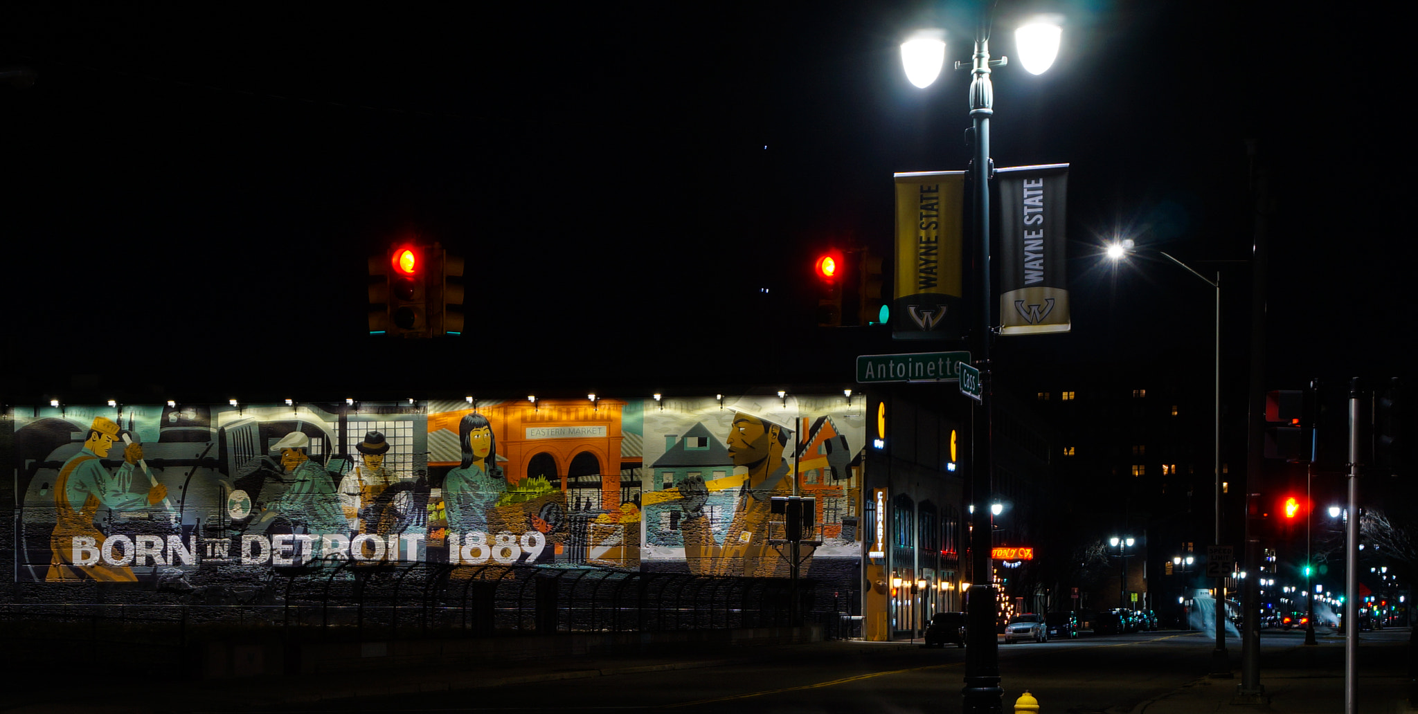 Sony Alpha NEX-5R + Sony E 18-55mm F3.5-5.6 OSS sample photo. Cass avenue detroit iii photography