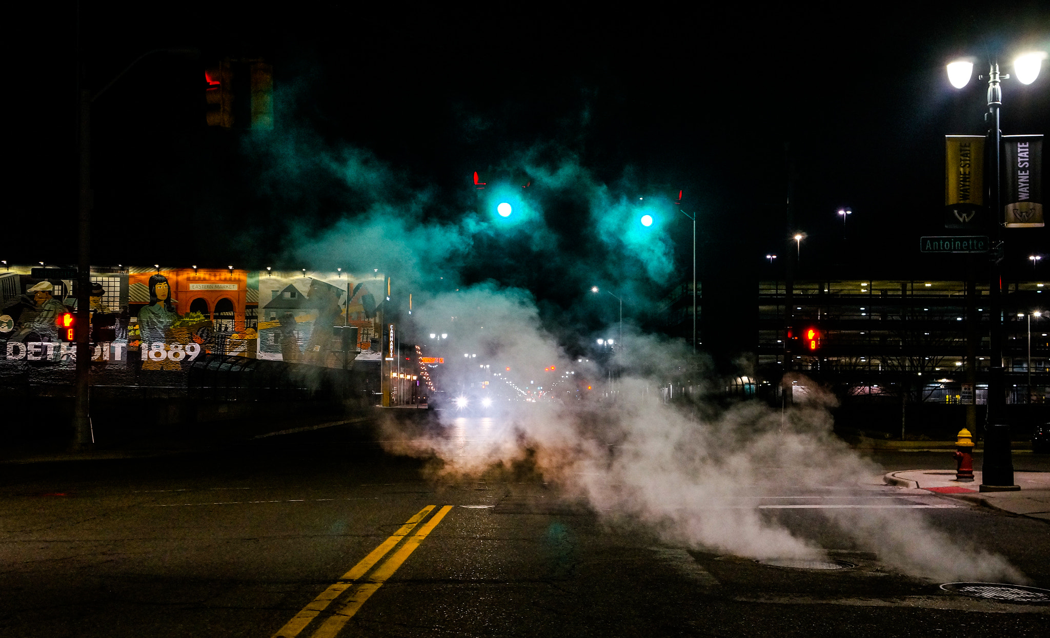 Sony Alpha NEX-5R + Sony E 18-55mm F3.5-5.6 OSS sample photo. Cass avenue detroit i photography