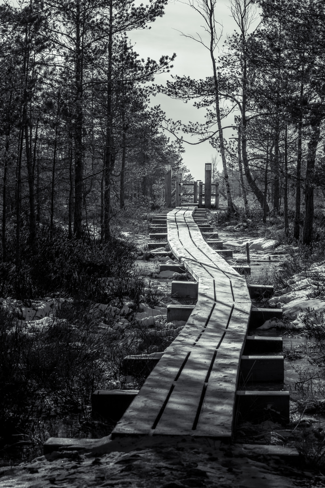 Nikon AF-S Nikkor 70-200mm F2.8G ED VR II sample photo. Wooden trail leading through a frozen bog photography
