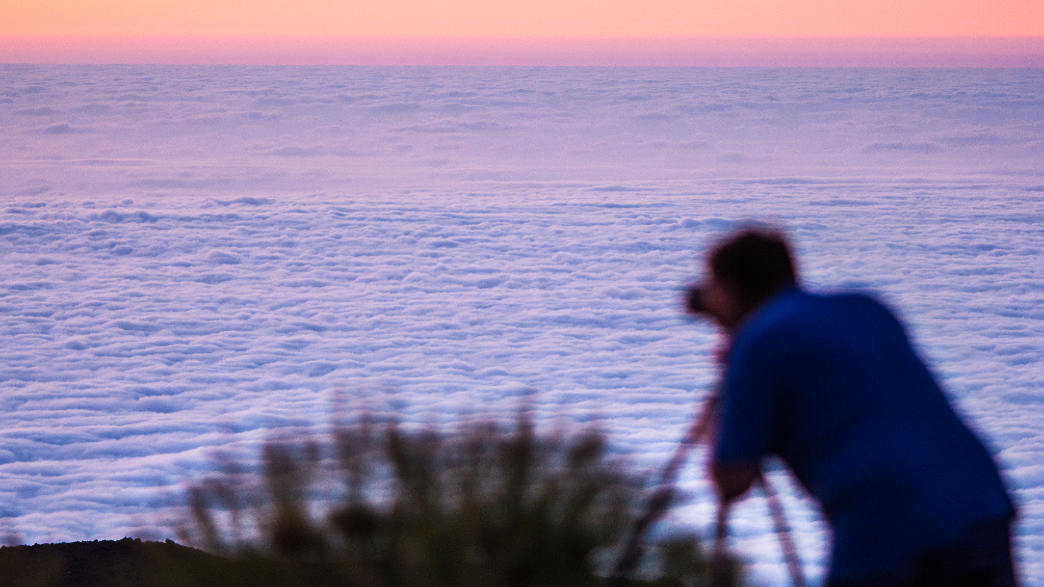 Canon EOS 60D + Canon EF 135mm F2L USM sample photo. Tenerife photography