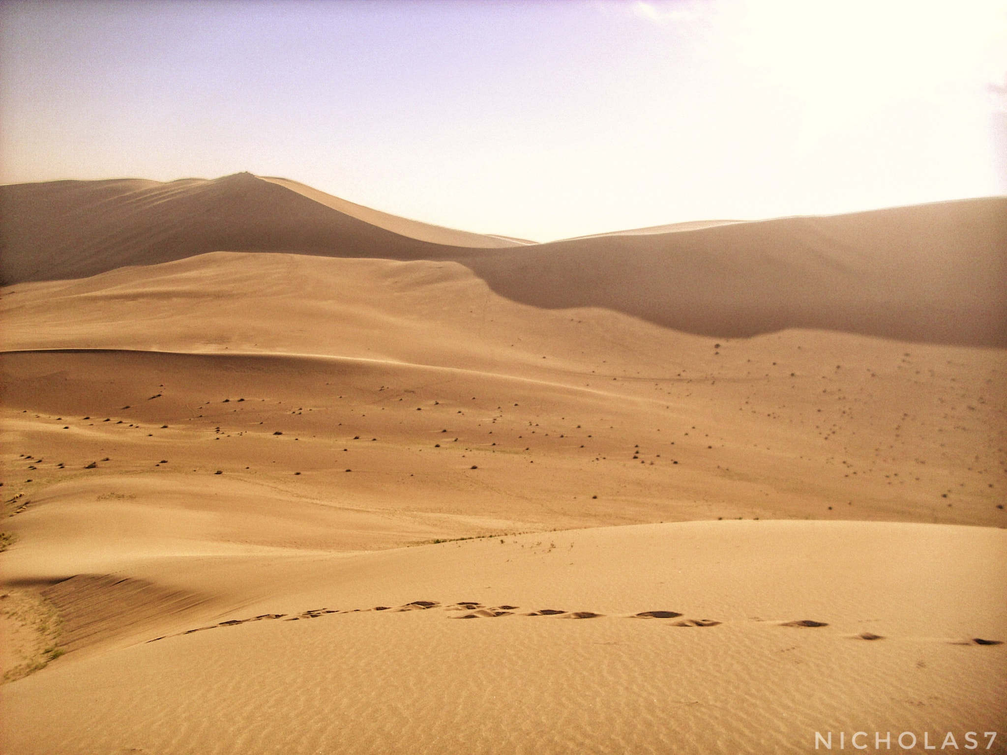 Benq DC C1020 sample photo. Ming sha desert photography
