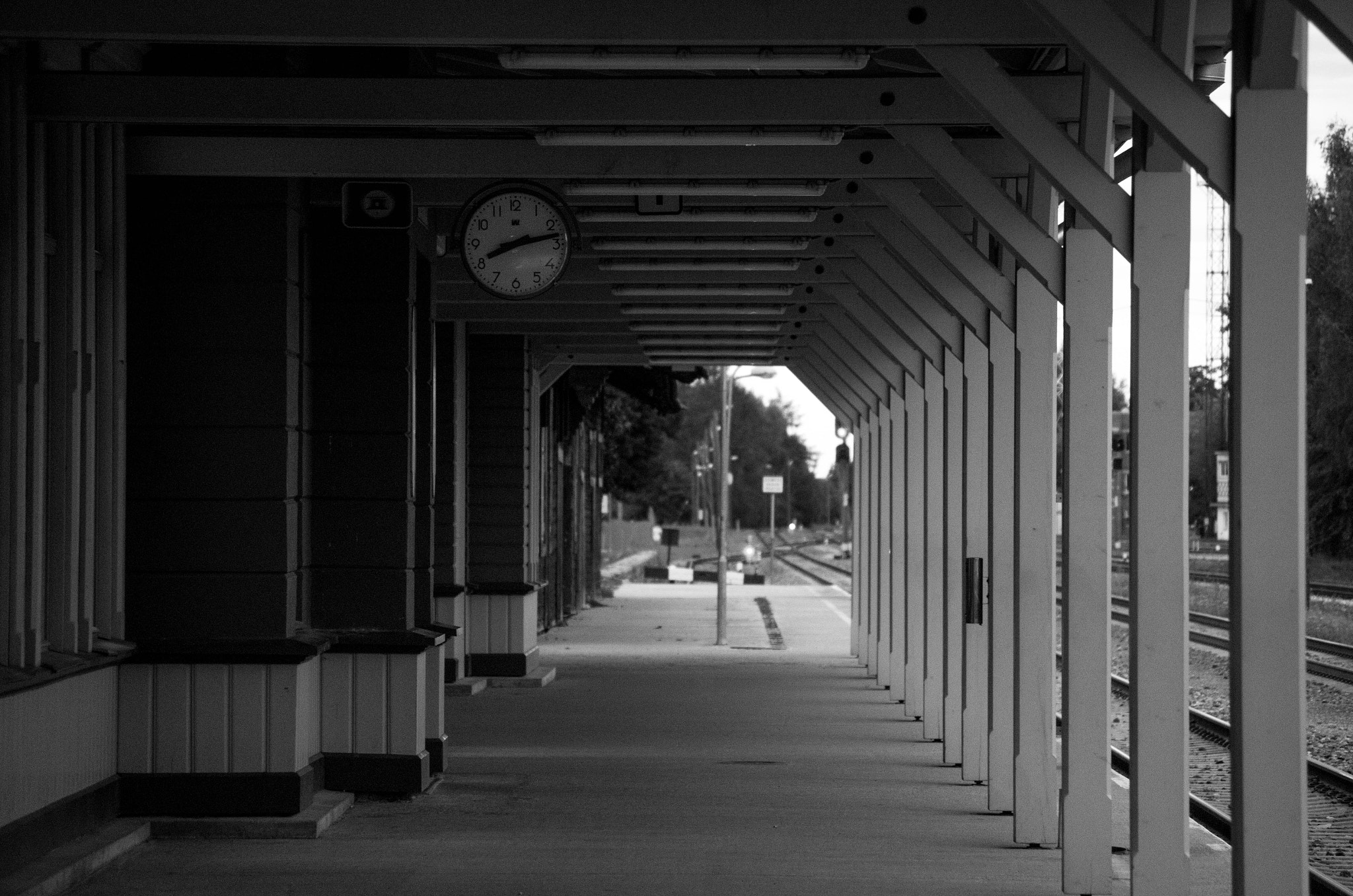 Pentax smc DA 50-200mm F4-5.6 ED sample photo. Linnimgp photography