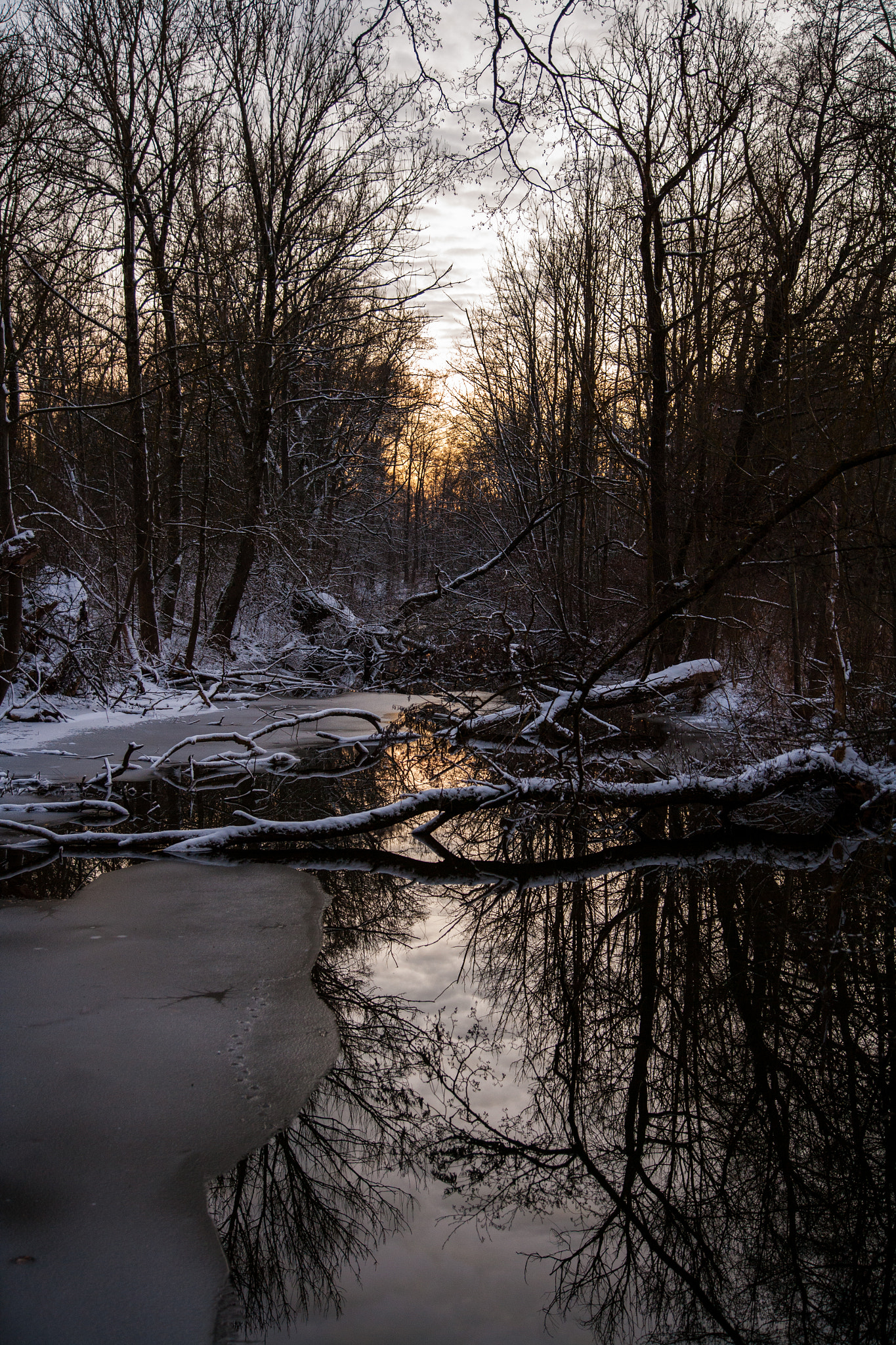 Canon EOS-1Ds Mark II + Canon EF 24-105mm F4L IS USM sample photo. Still creek photography