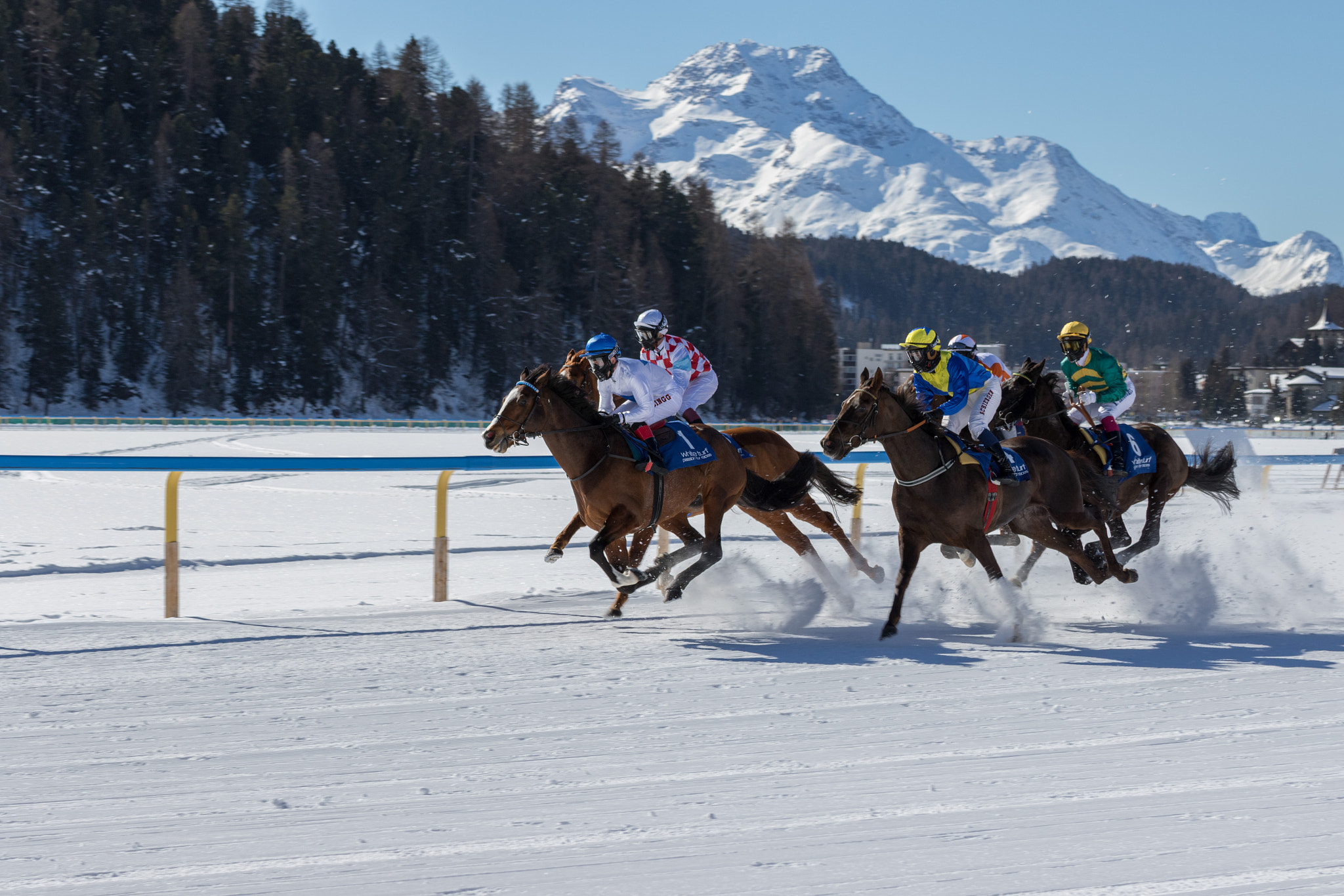 Canon EOS 7D Mark II + Tamron SP 35mm F1.8 Di VC USD sample photo. White turf in the st. moritz sun photography