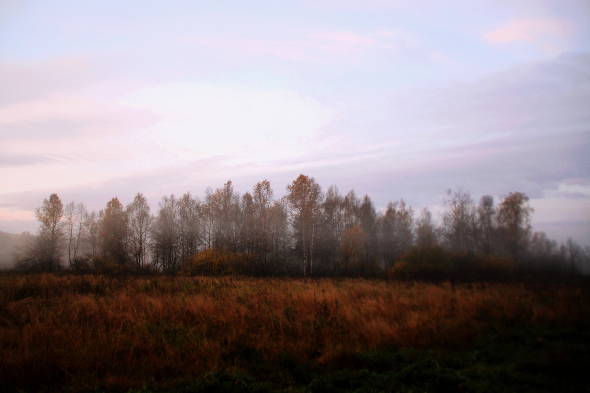 Canon EOS 60D sample photo. Туман photography