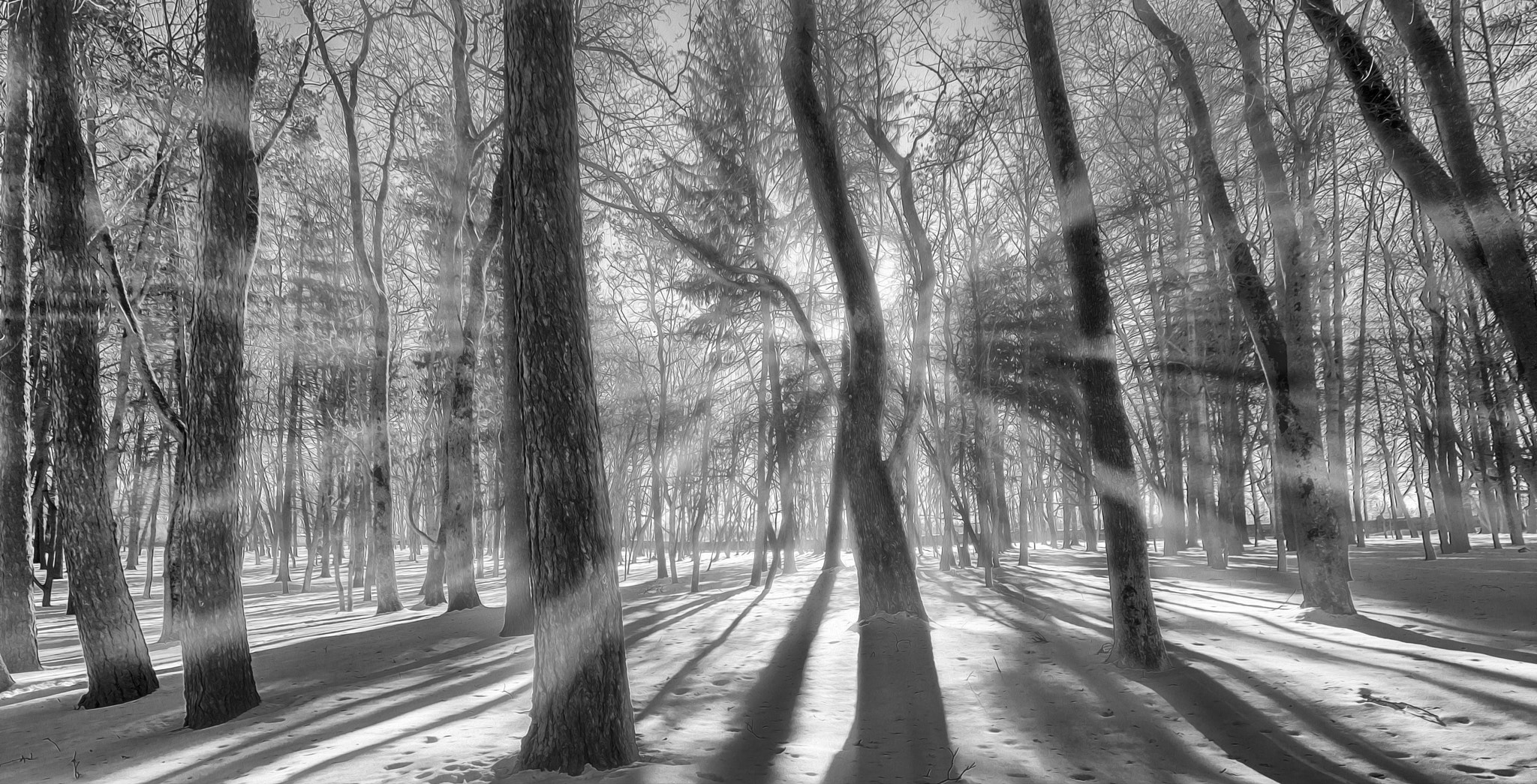 Nikon D3200 sample photo. В зимнем парке солнце греет photography