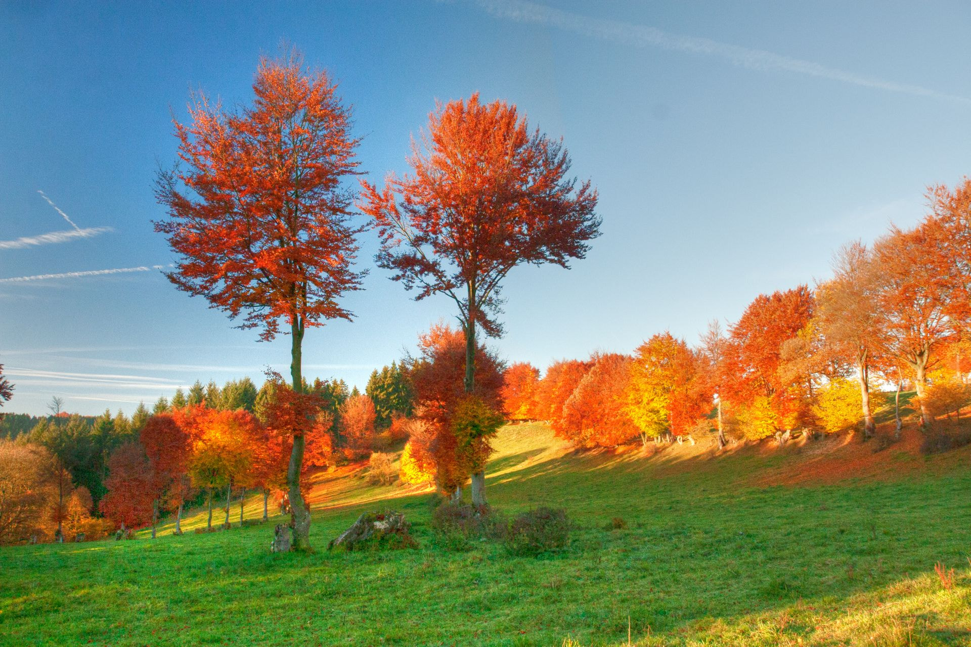 Canon EOS 30D sample photo. Herbst in der eifel photography