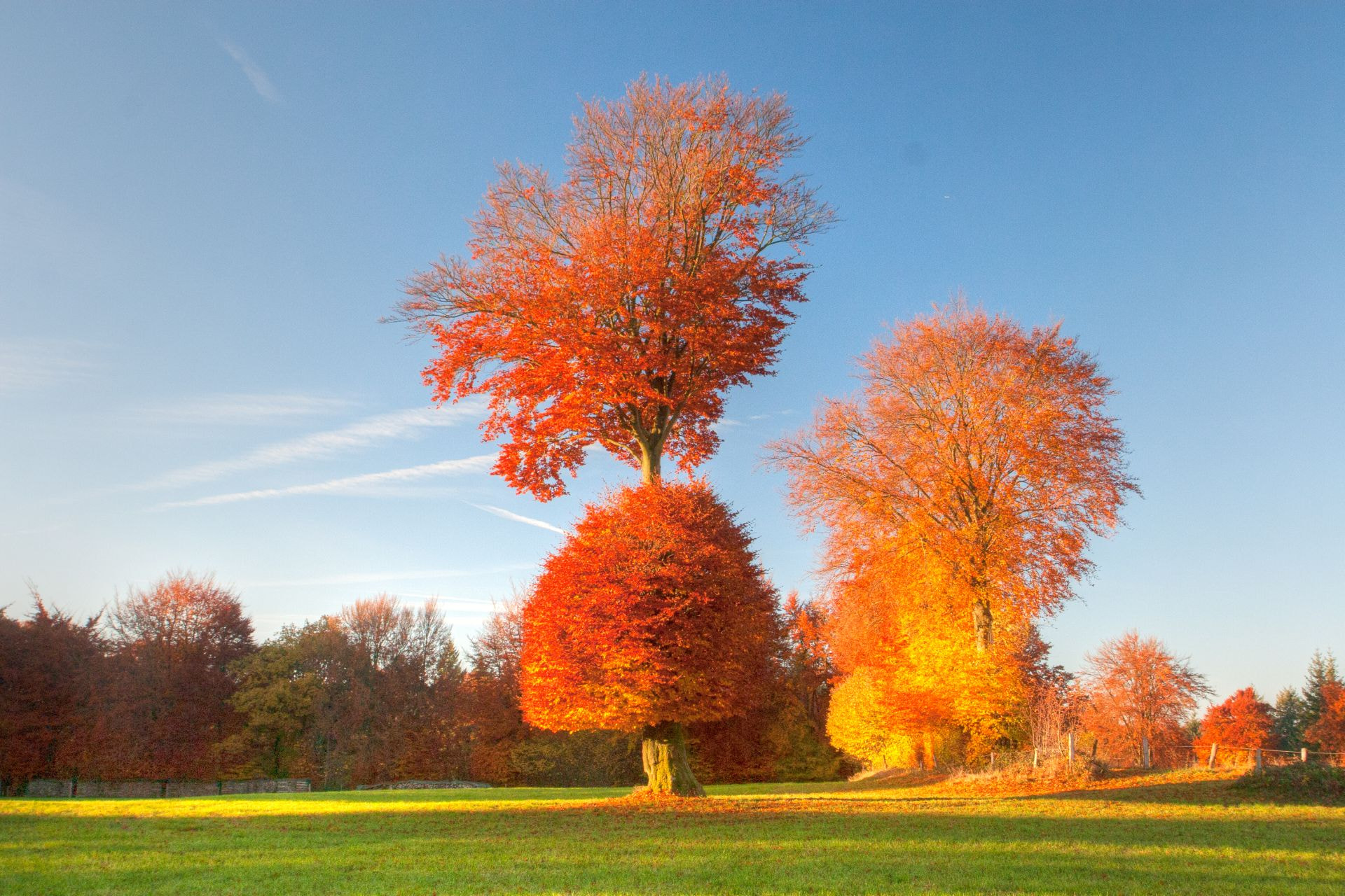 Canon EOS 30D sample photo. Herbst in der eifel photography