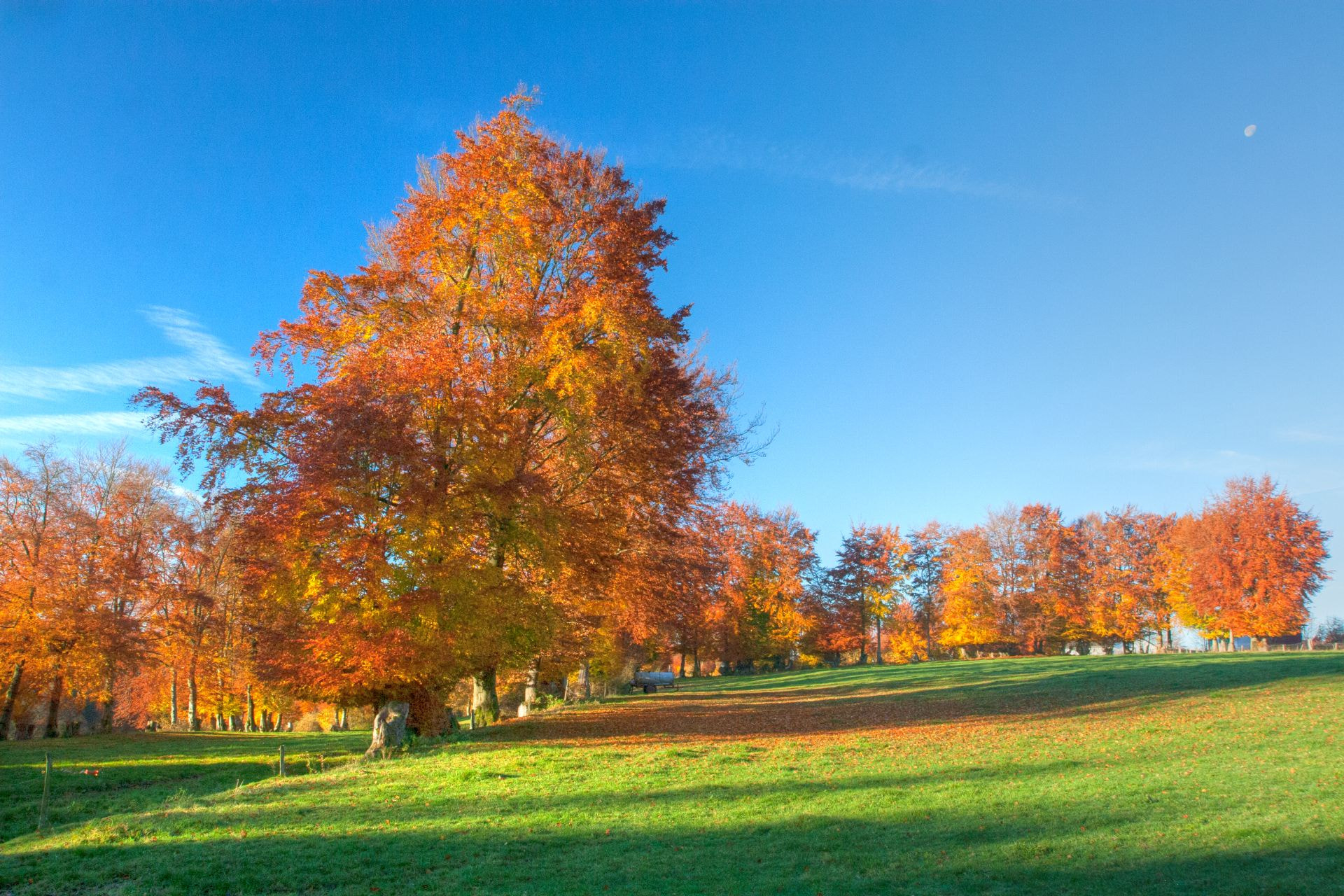 Canon EOS 30D sample photo. Herbst in der eifel photography