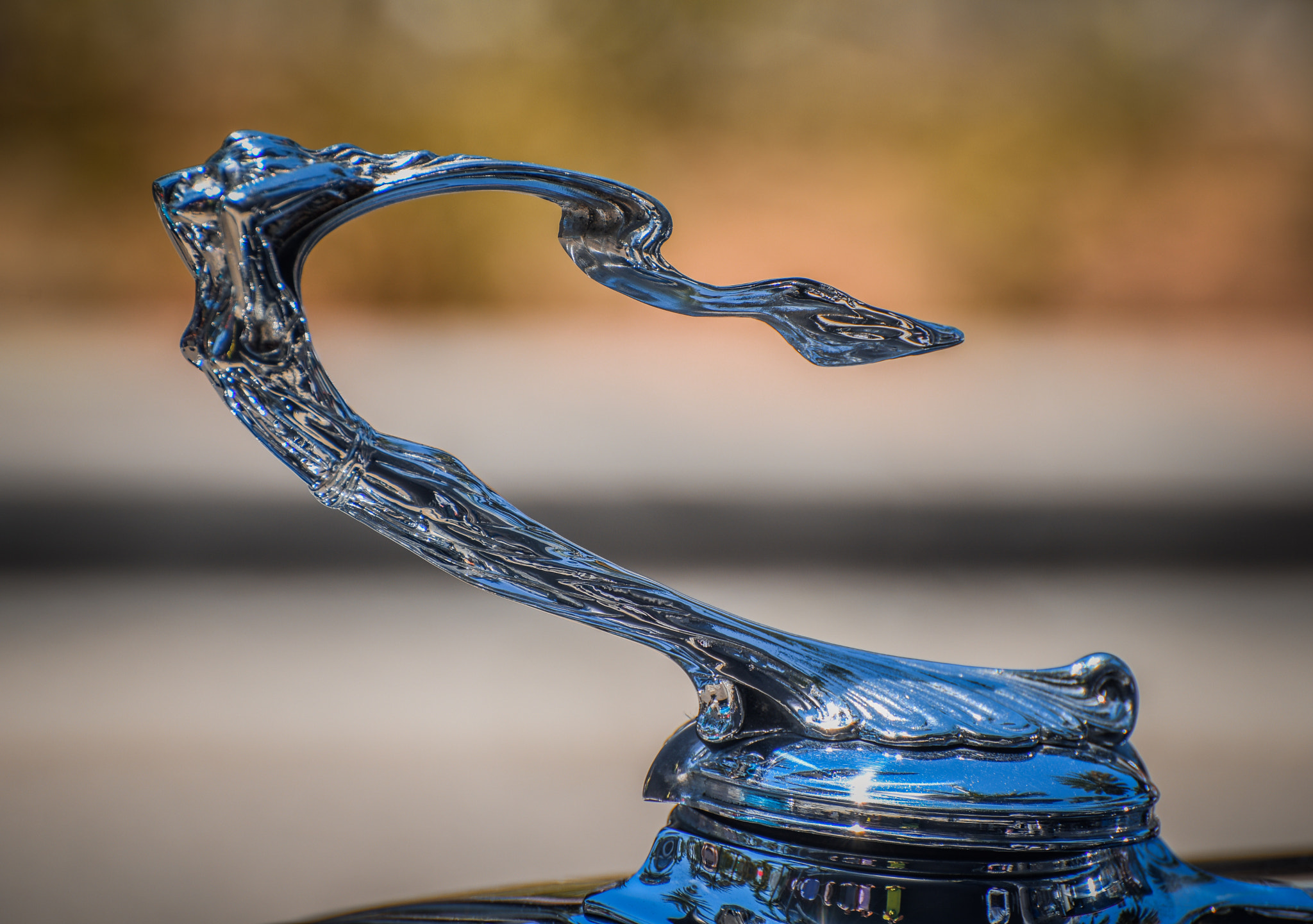 Nikon D810 sample photo. 1930 cadillac hood photography