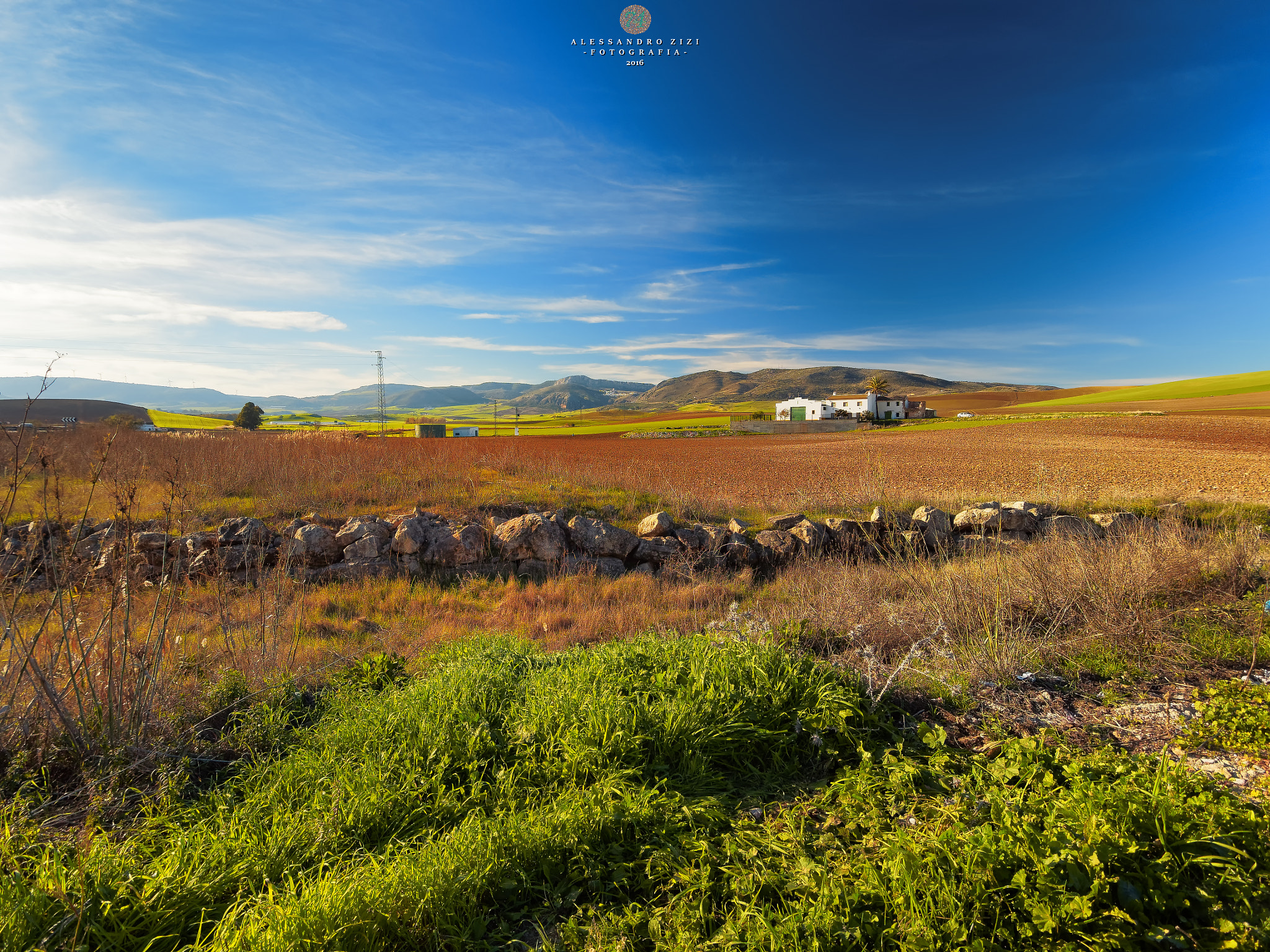 Olympus OM-D E-M5 II + OLYMPUS M.9-18mm F4.0-5.6 sample photo. Andalusian countryside. photography