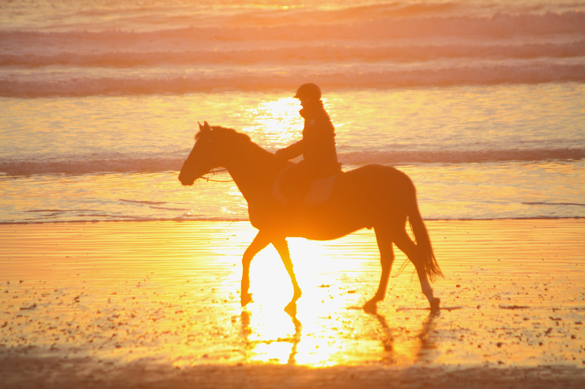 Canon EF 35-80mm f/4-5.6 sample photo. A cheval photography