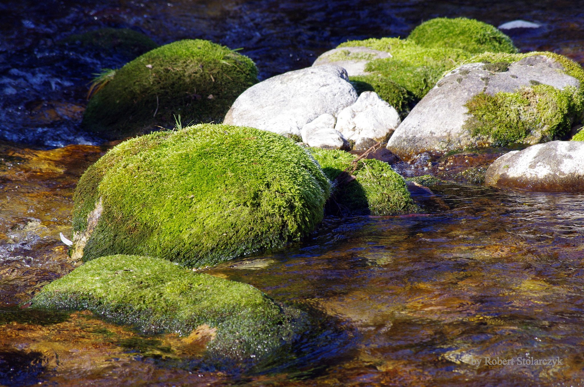 smc PENTAX-DA L 50-200mm F4-5.6 ED sample photo. Zima #5 photography