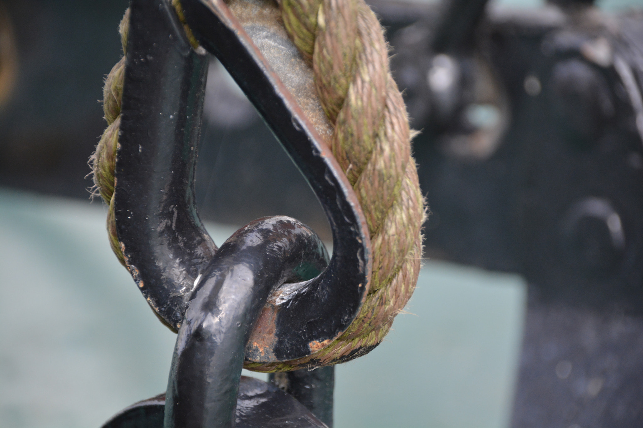 Sigma 18-250mm F3.5-6.3 DC Macro OS HSM sample photo. Something  photography