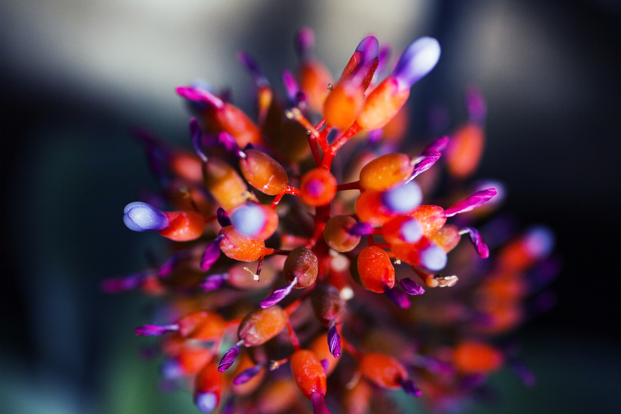 Sigma 50mm F1.4 EX DG HSM sample photo. Perspective photography