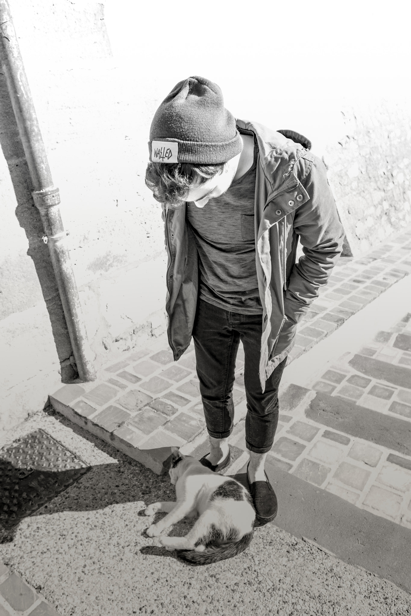Canon EF 16-35mm F2.8L II USM sample photo. An elf met a cat photography