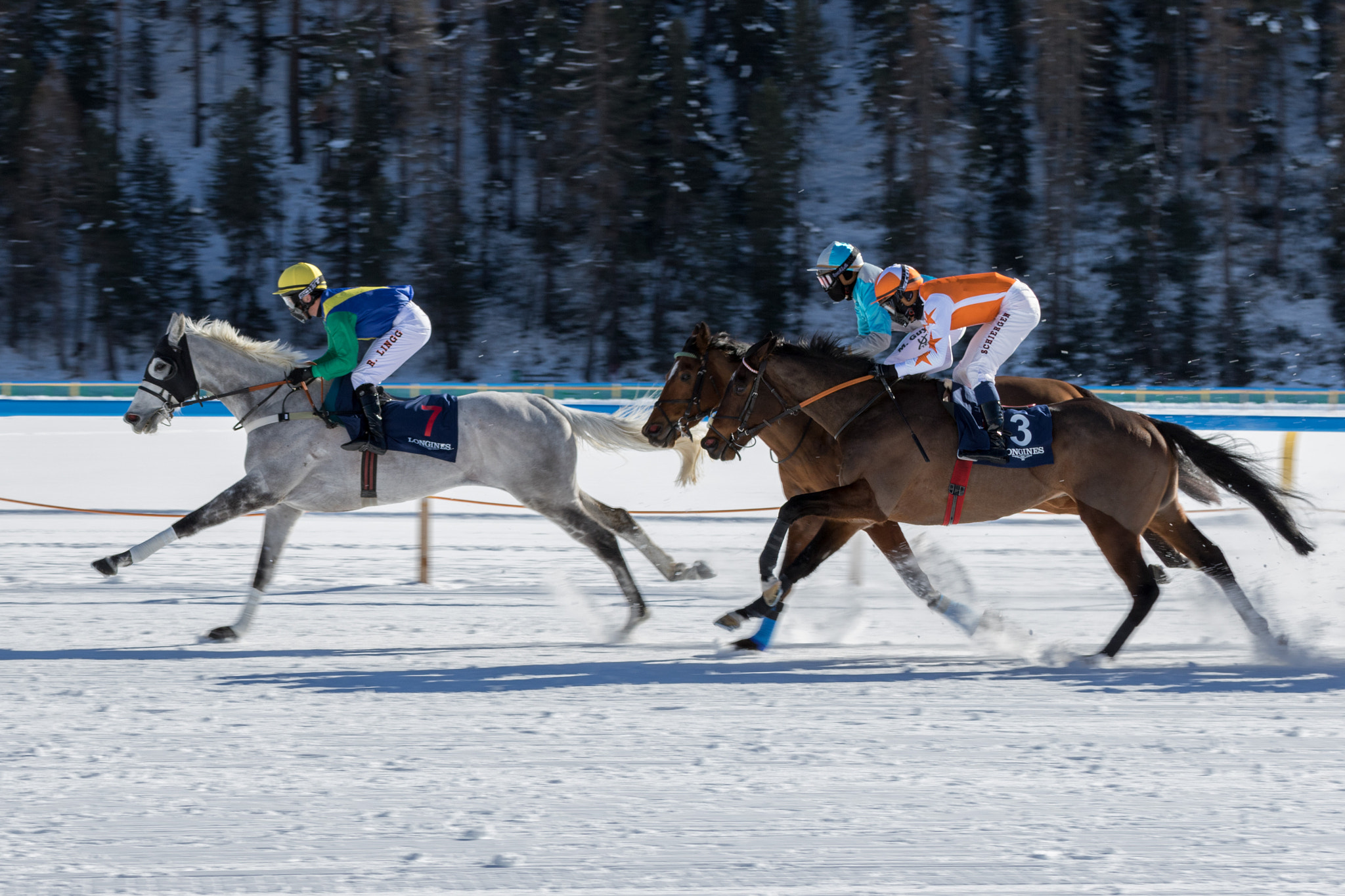 Tamron SP 35mm F1.8 Di VC USD sample photo. White horse racing photography