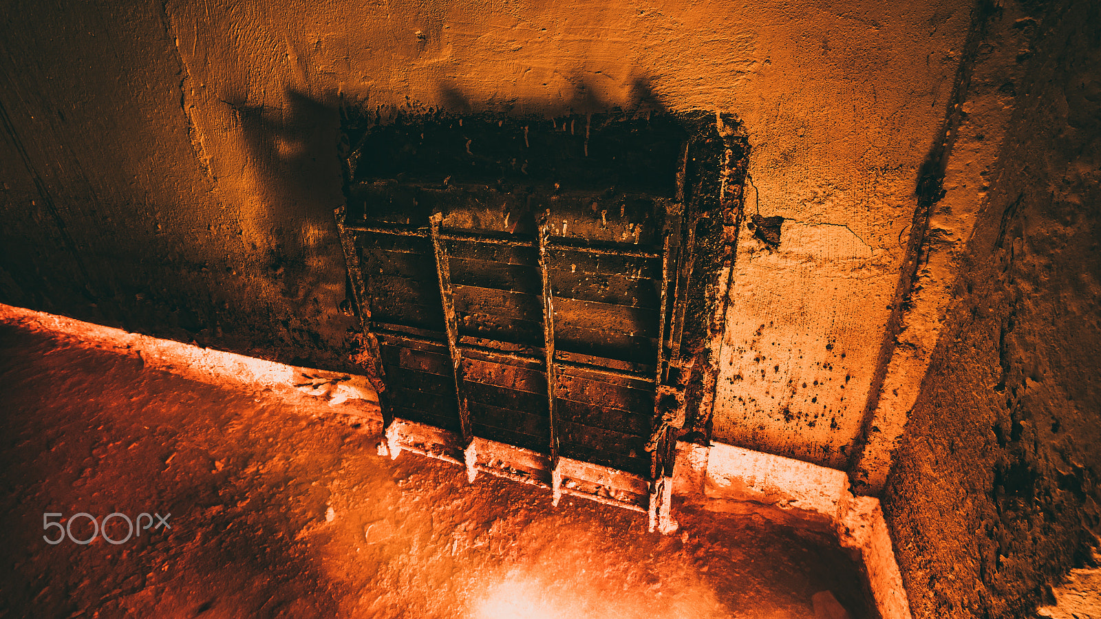 Canon EOS 750D (EOS Rebel T6i / EOS Kiss X8i) sample photo. Paradise rust photography