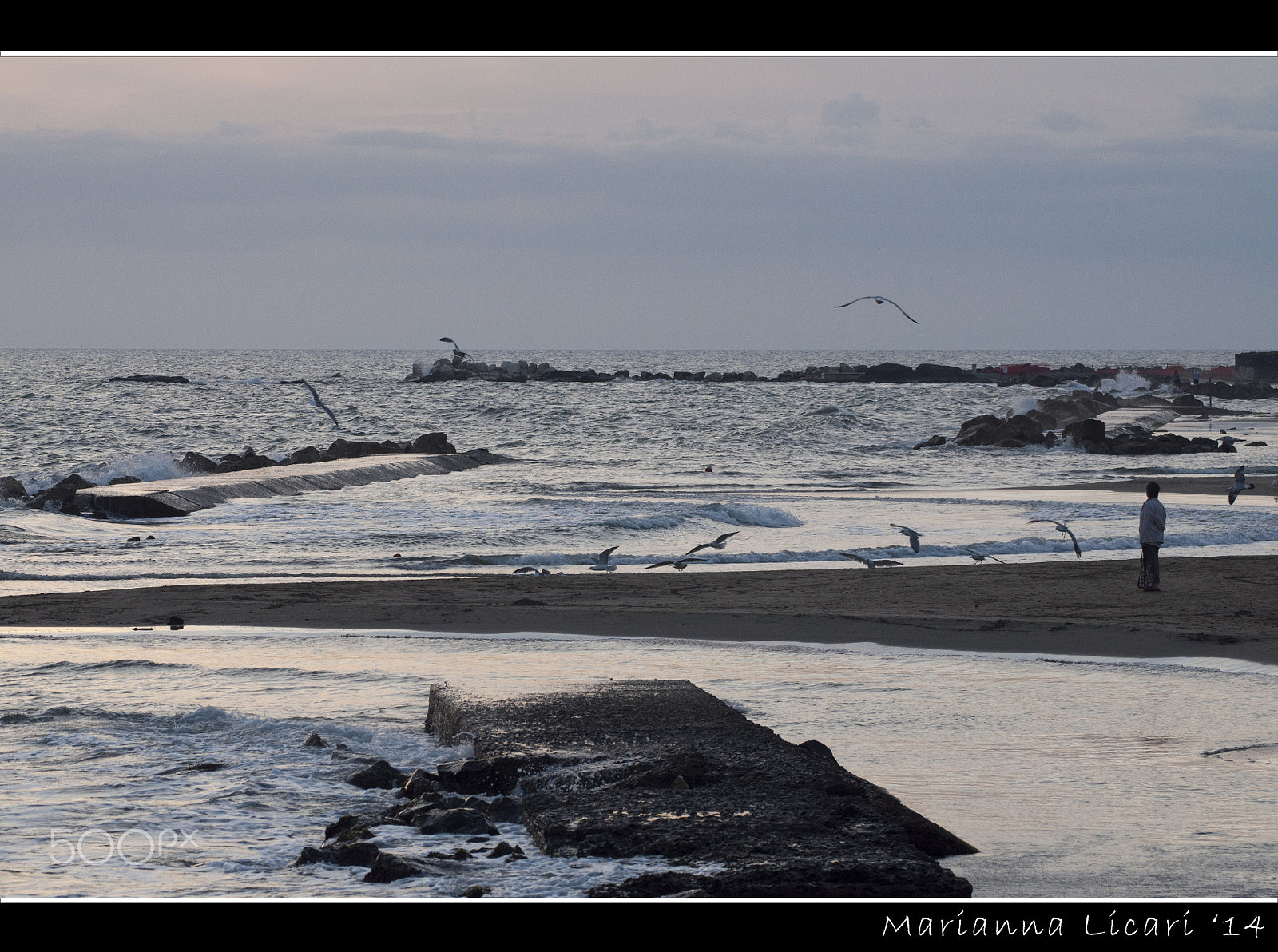 Nikon D5000 sample photo. Il mare d'inverno/the winter sea photography