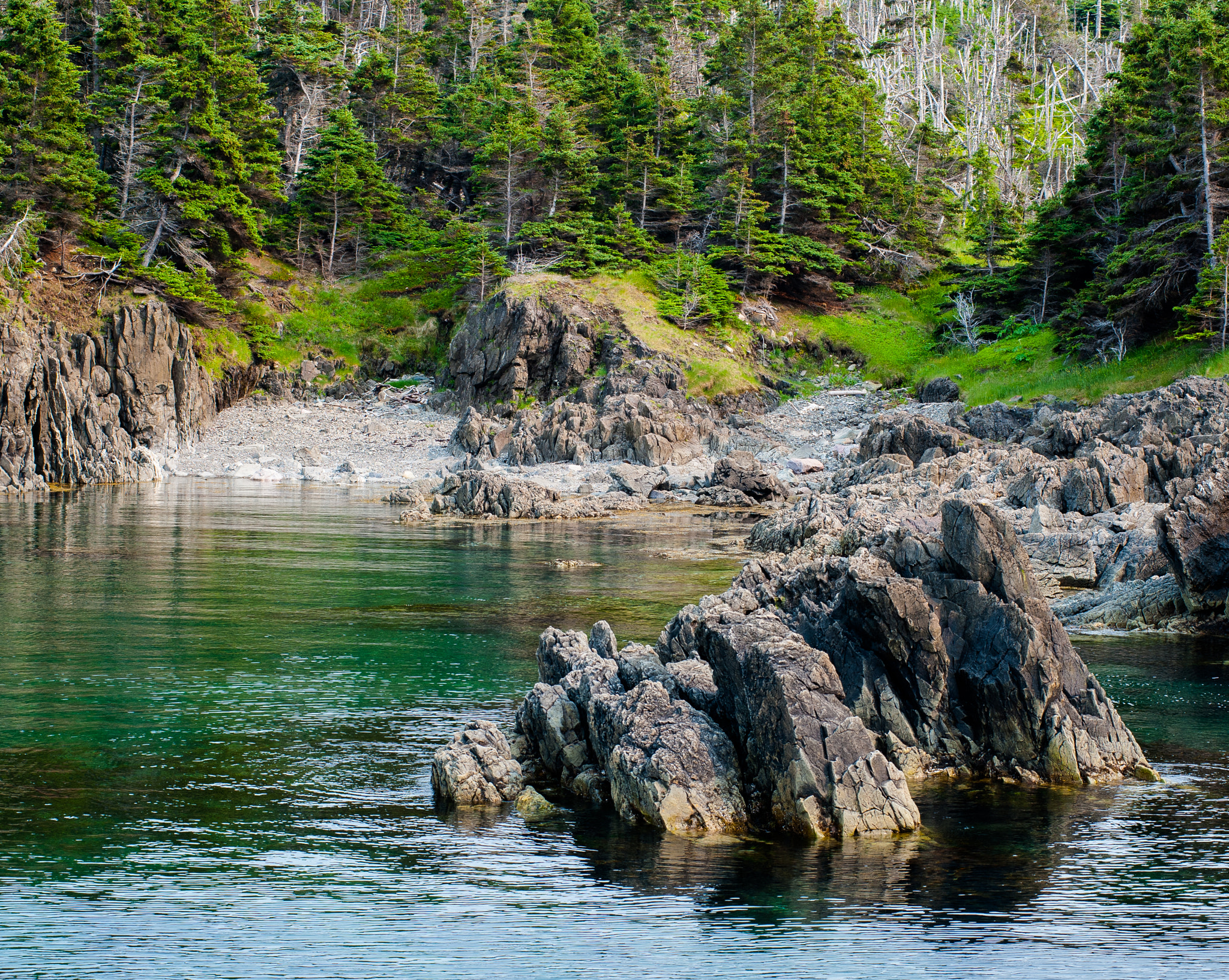 AF Zoom-Nikkor 80-200mm f/2.8 ED sample photo. Newfoundland photography