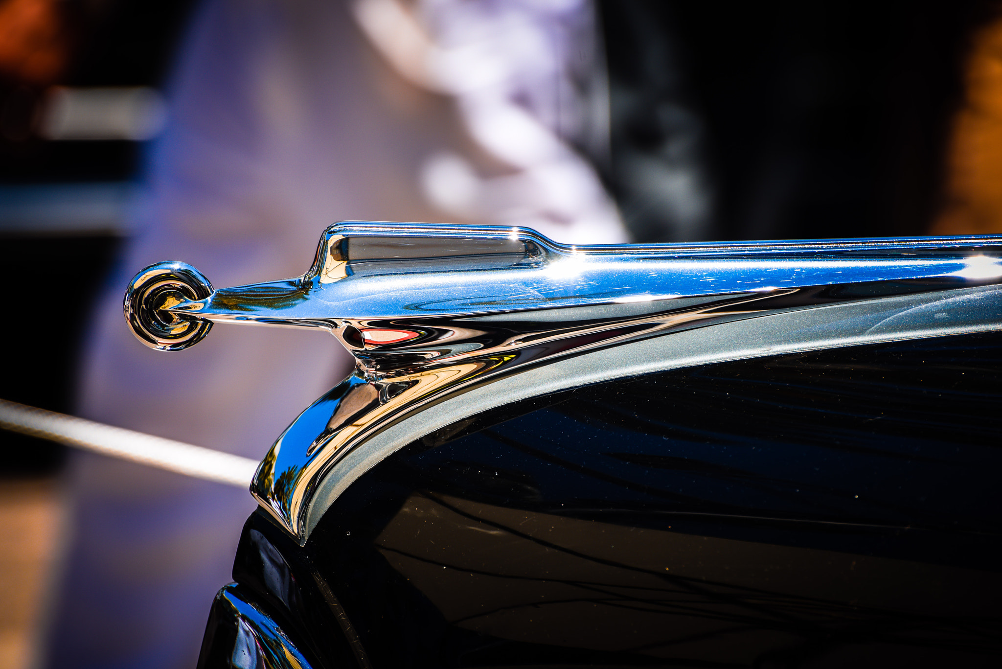 Nikon D810 sample photo. Untitled- can any one help photography