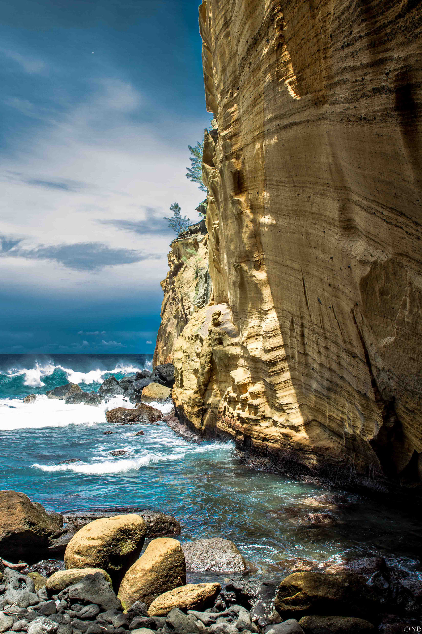 Canon EF 17-35mm f/2.8L + 1.4x sample photo. Yellow cape photography