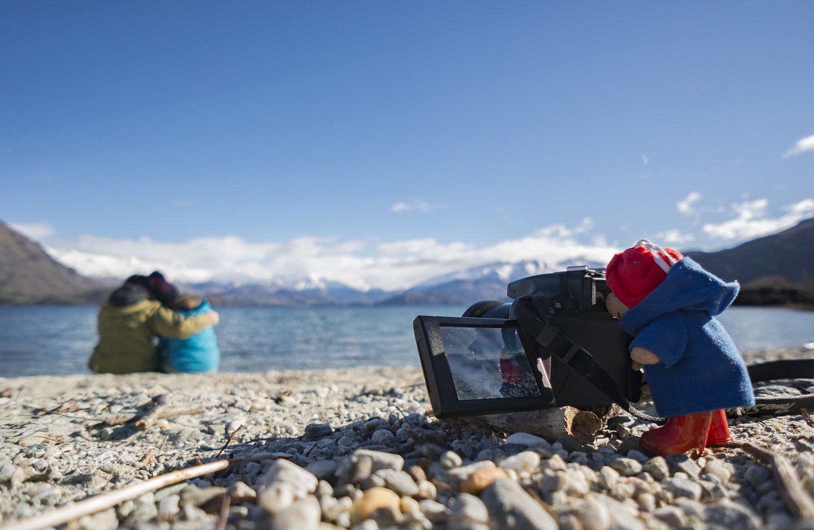 Sony Alpha NEX-6 + Sony E 16mm F2.8 sample photo. Small little bear take foto photography