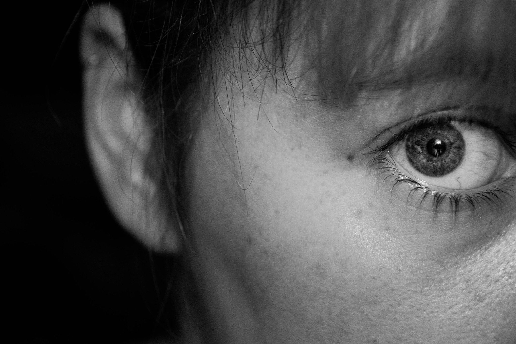 Sigma 18-250mm F3.5-6.3 DC OS HSM sample photo. Look the dark side photography