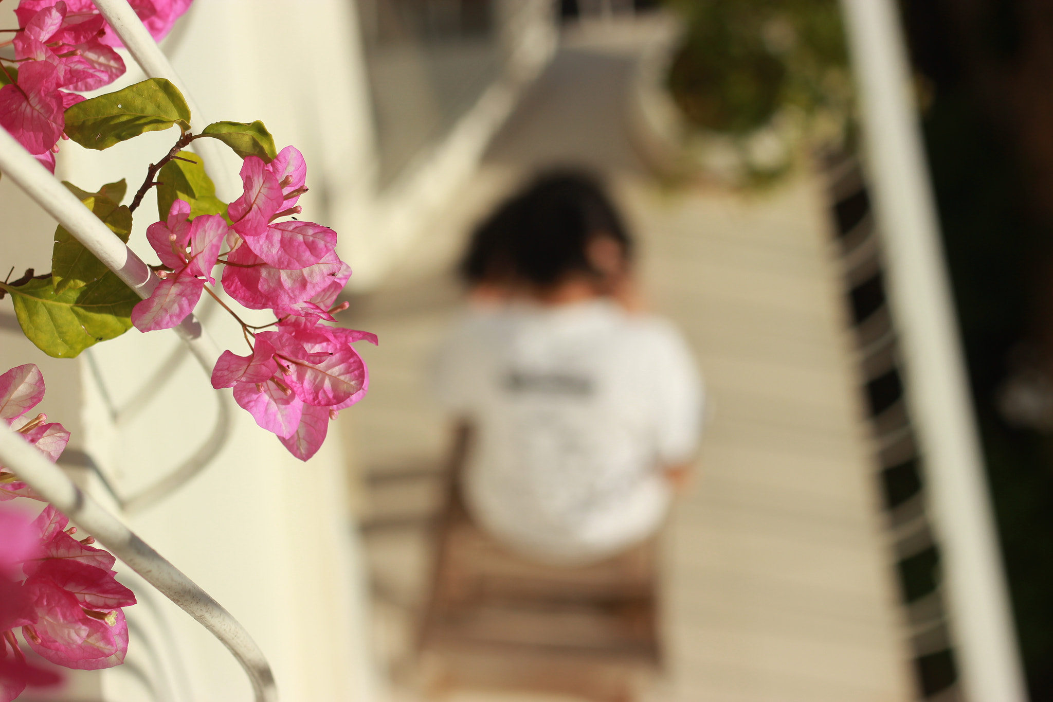Canon EOS 550D (EOS Rebel T2i / EOS Kiss X4) sample photo. Img photography