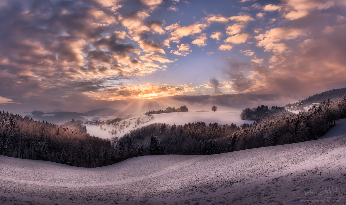 Nikon D810 sample photo. Winter views photography