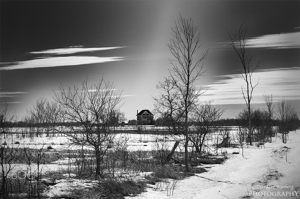 Nikon D700 sample photo. Ole country home photography