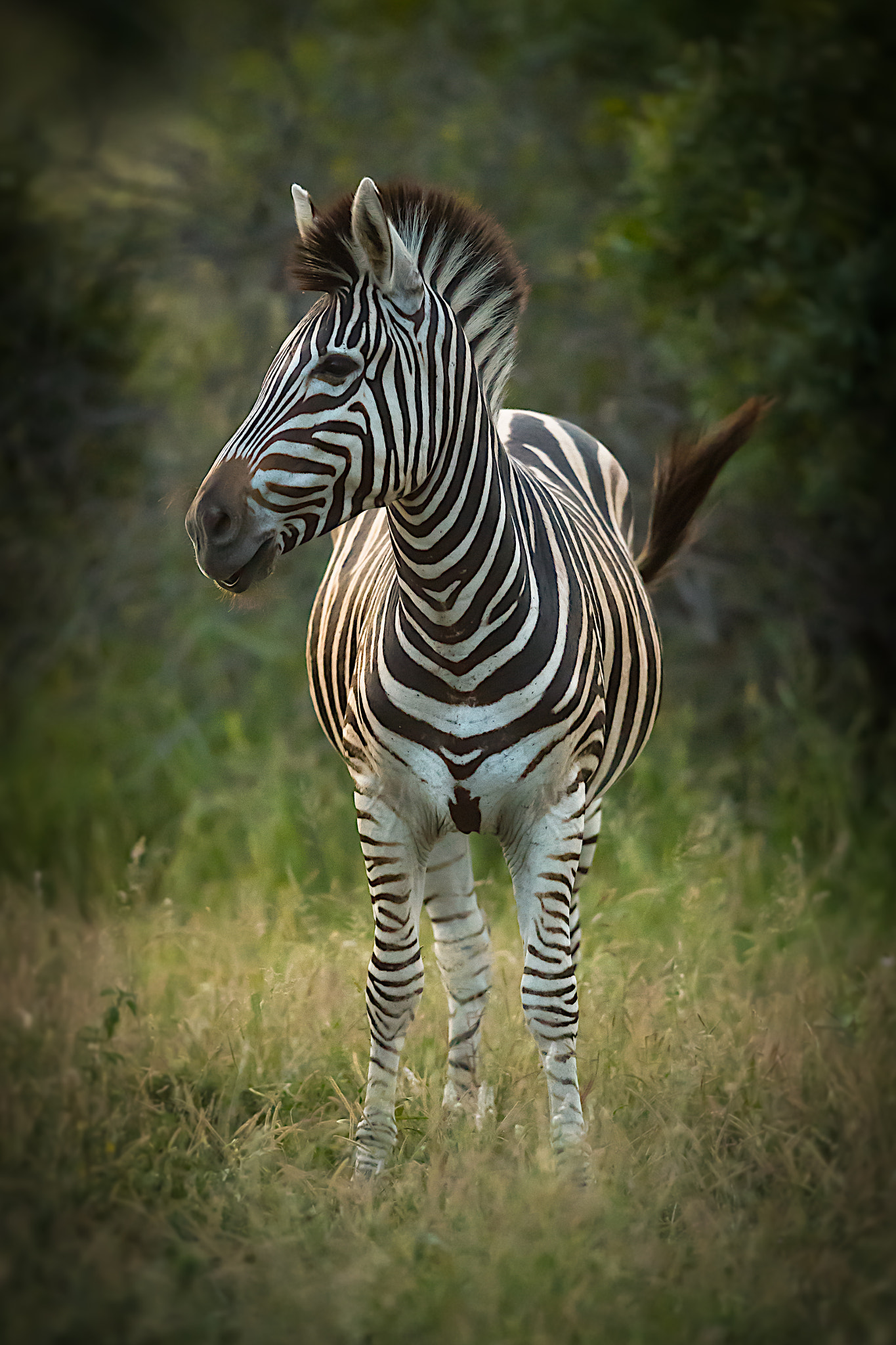Nikon AF-S Nikkor 400mm F2.8G ED VR II sample photo. Fingerprint photography