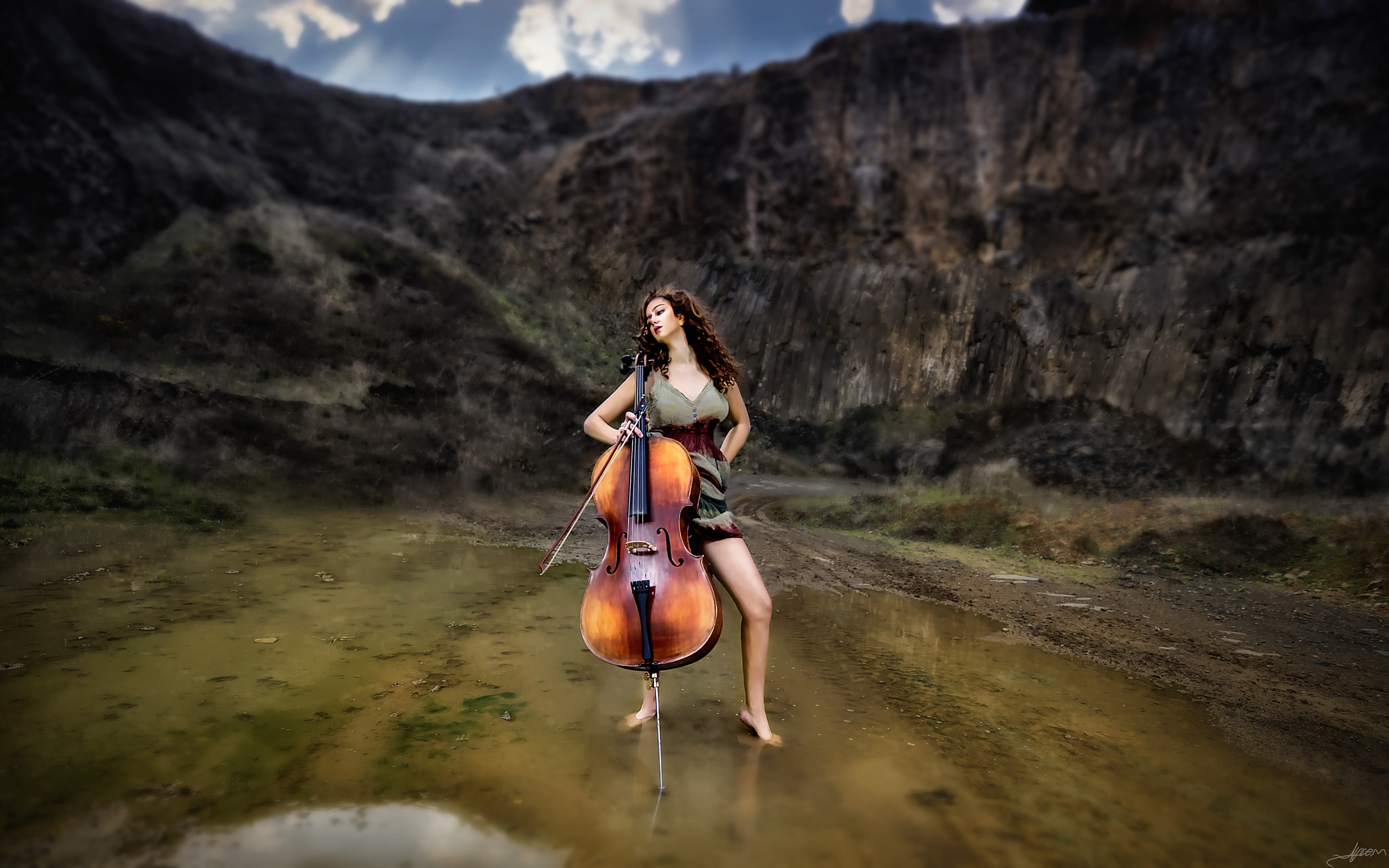 Nikon D3S sample photo. Wild cello.. photography