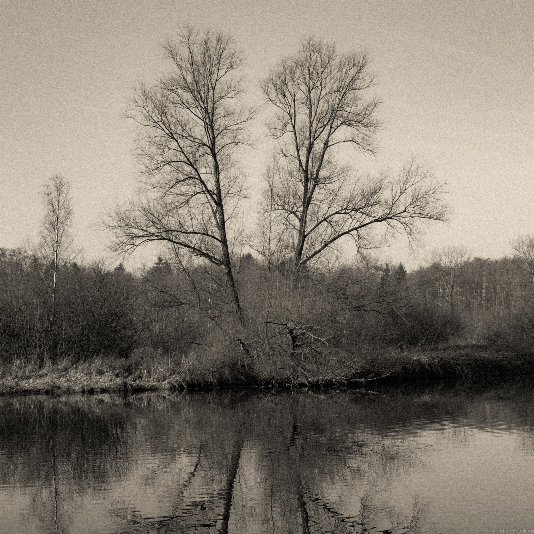 Pentax smc DA 17-70mm F4.0 AL (IF) SDM sample photo. Arbre et eau photography