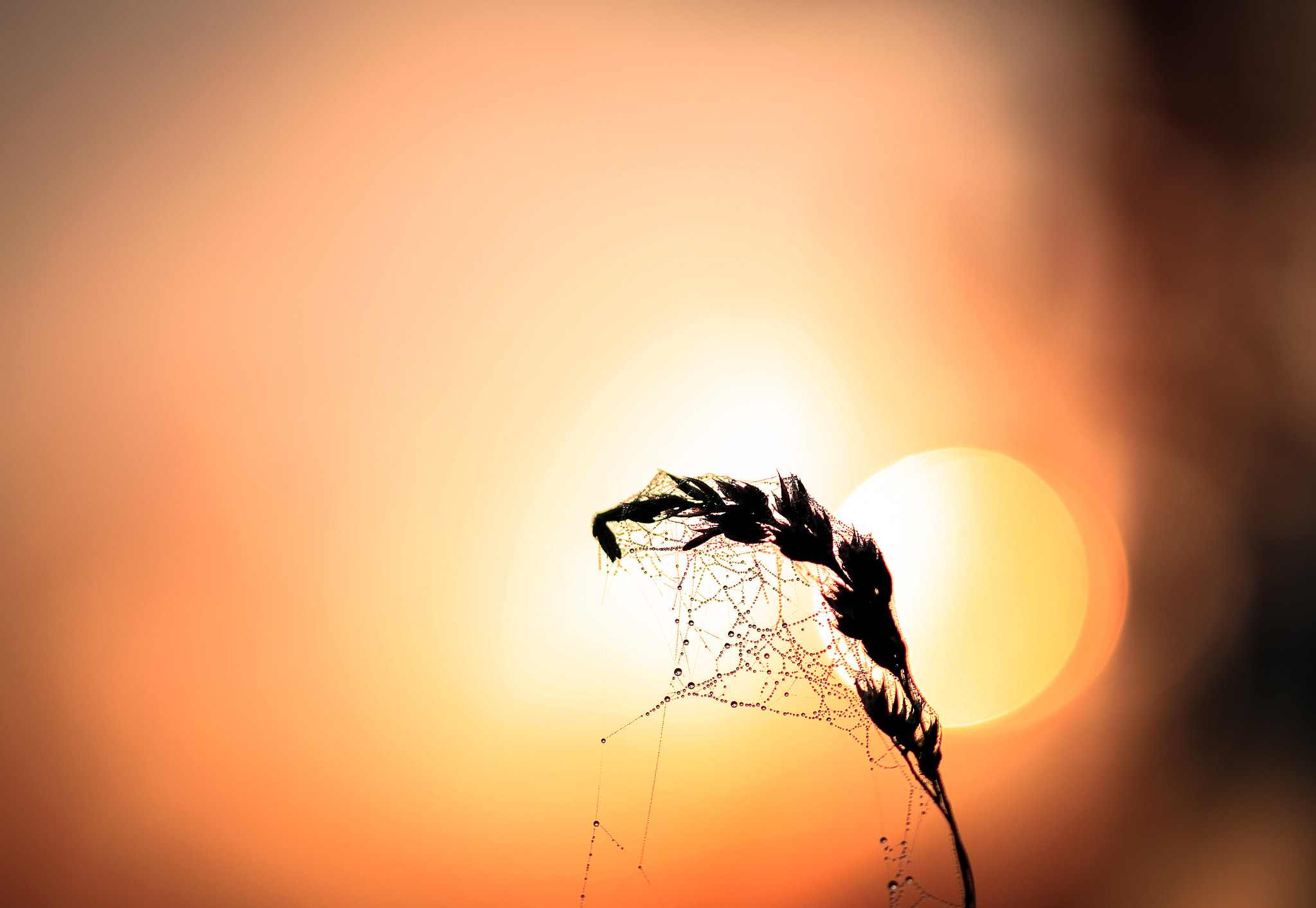 Sigma 105mm F2.8 EX DG OS HSM sample photo. Shadow et sunrise... photography