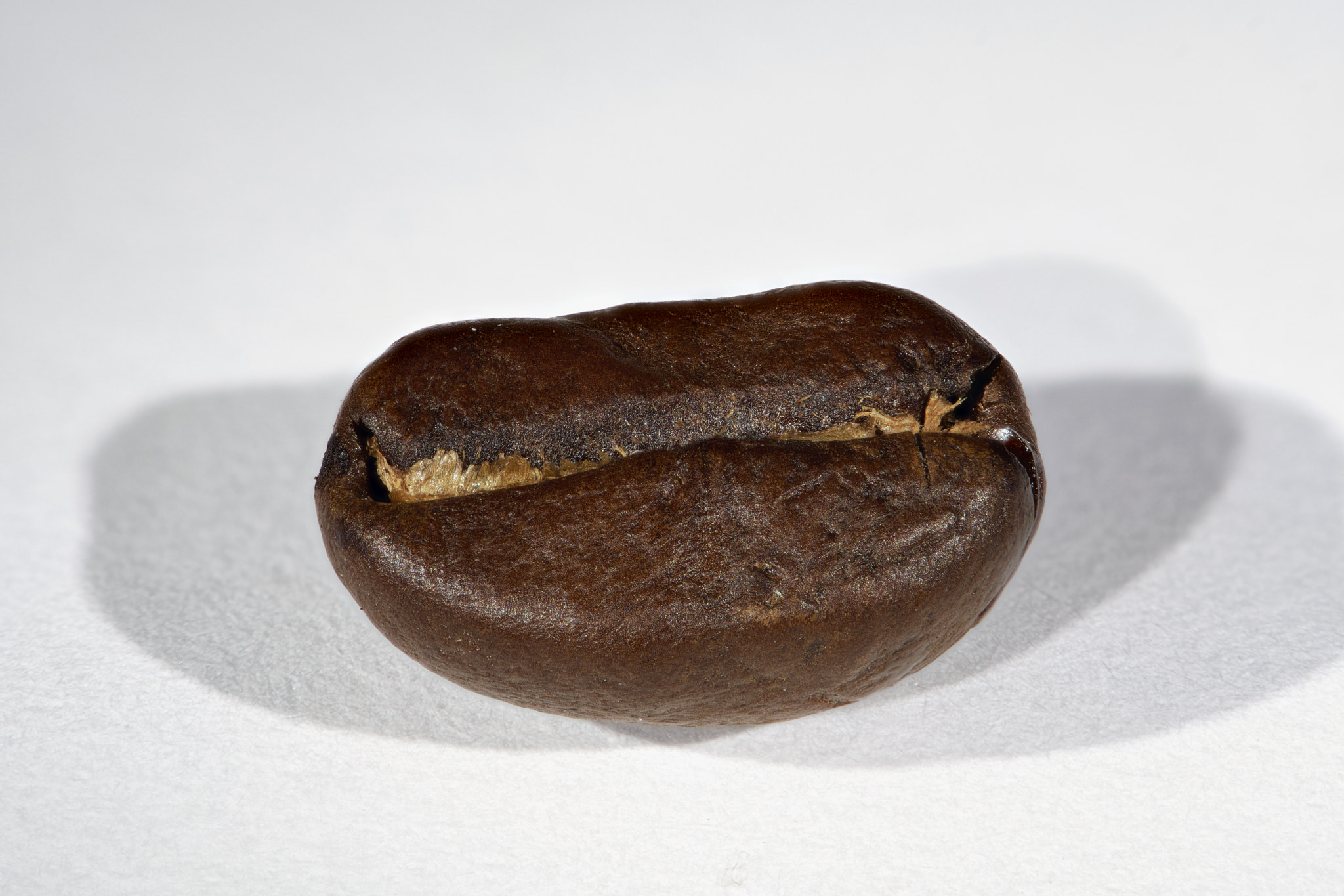 Nikon D500 sample photo. Kaffebohne photography