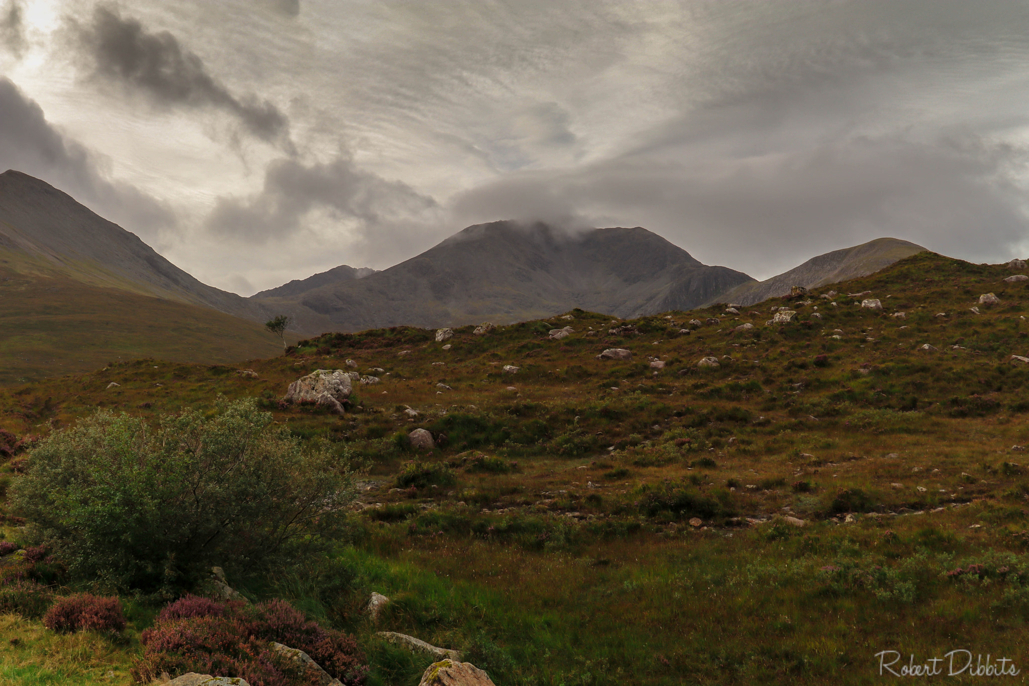Canon EF 24-105mm F3.5-5.6 IS STM sample photo. Hit the skye photography