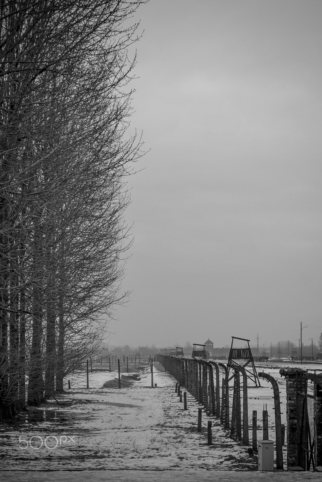 Tamron SP AF 17-50mm F2.8 XR Di II LD Aspherical (IF) sample photo. Birkenau photography
