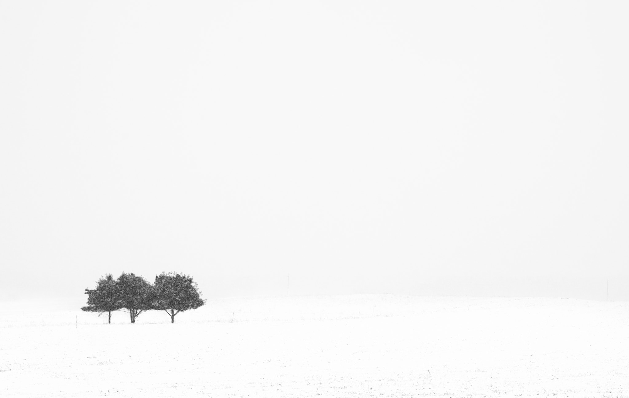 Sony a7 sample photo. Three sisters. winter returned. photography