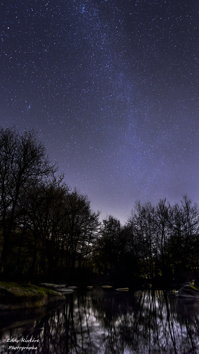 Nikon D810 + Nikon AF-S Nikkor 24mm F1.8G ED sample photo. Sèvre nantaise photography