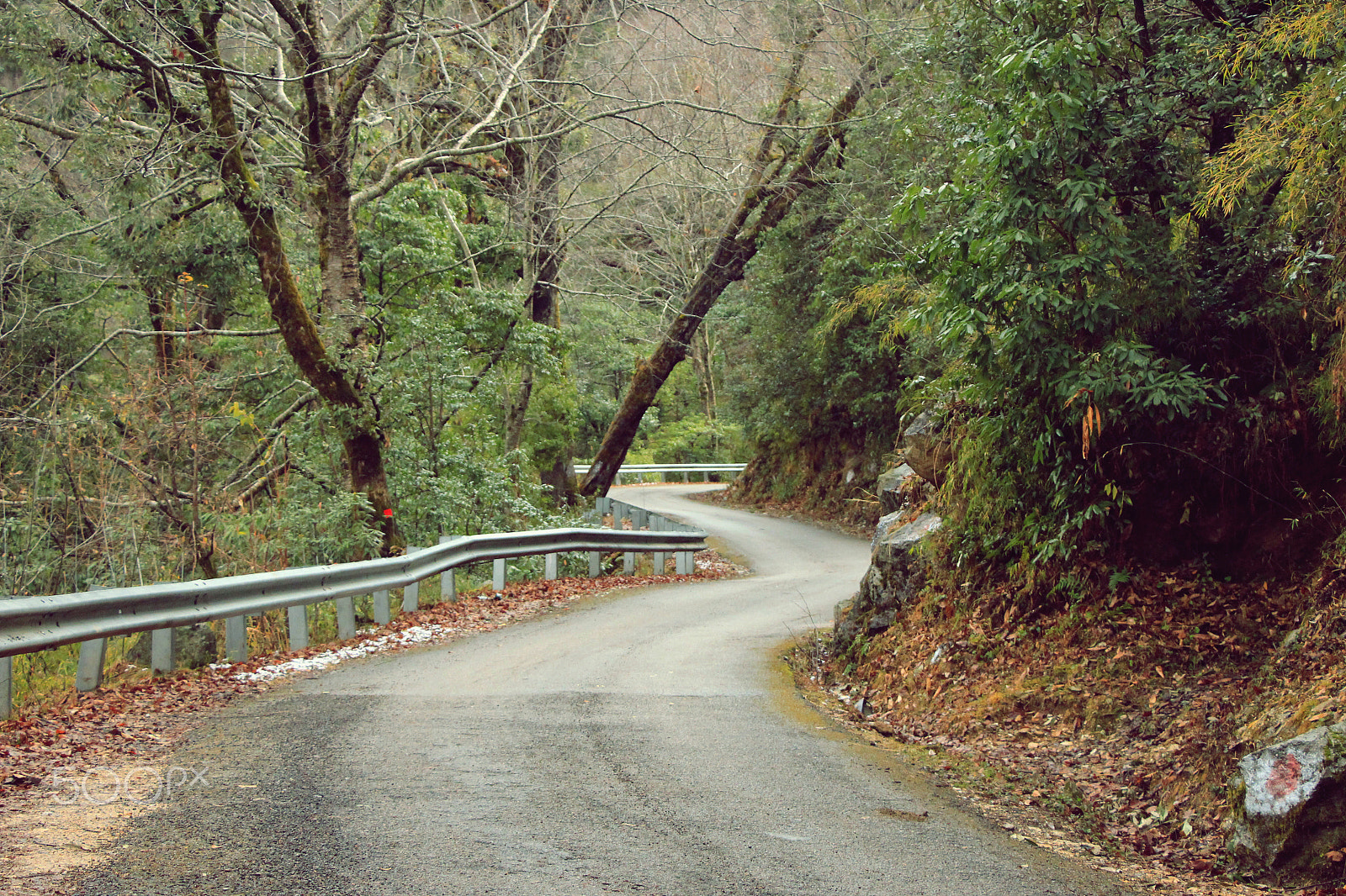 Canon EOS 1200D (EOS Rebel T5 / EOS Kiss X70 / EOS Hi) sample photo. Unwinding life with winding roads !!! photography