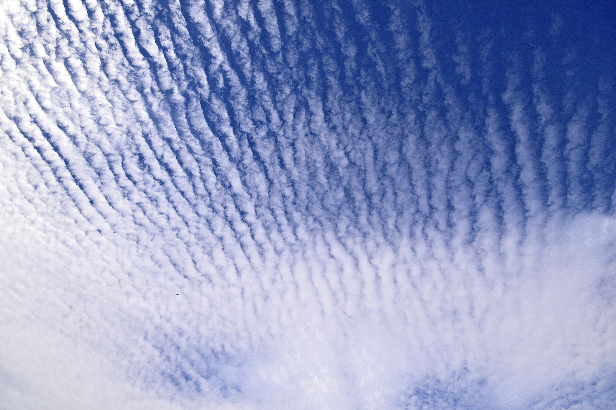 Sigma 10-20mm F4-5.6 EX DC HSM sample photo. Corduroy sky photography