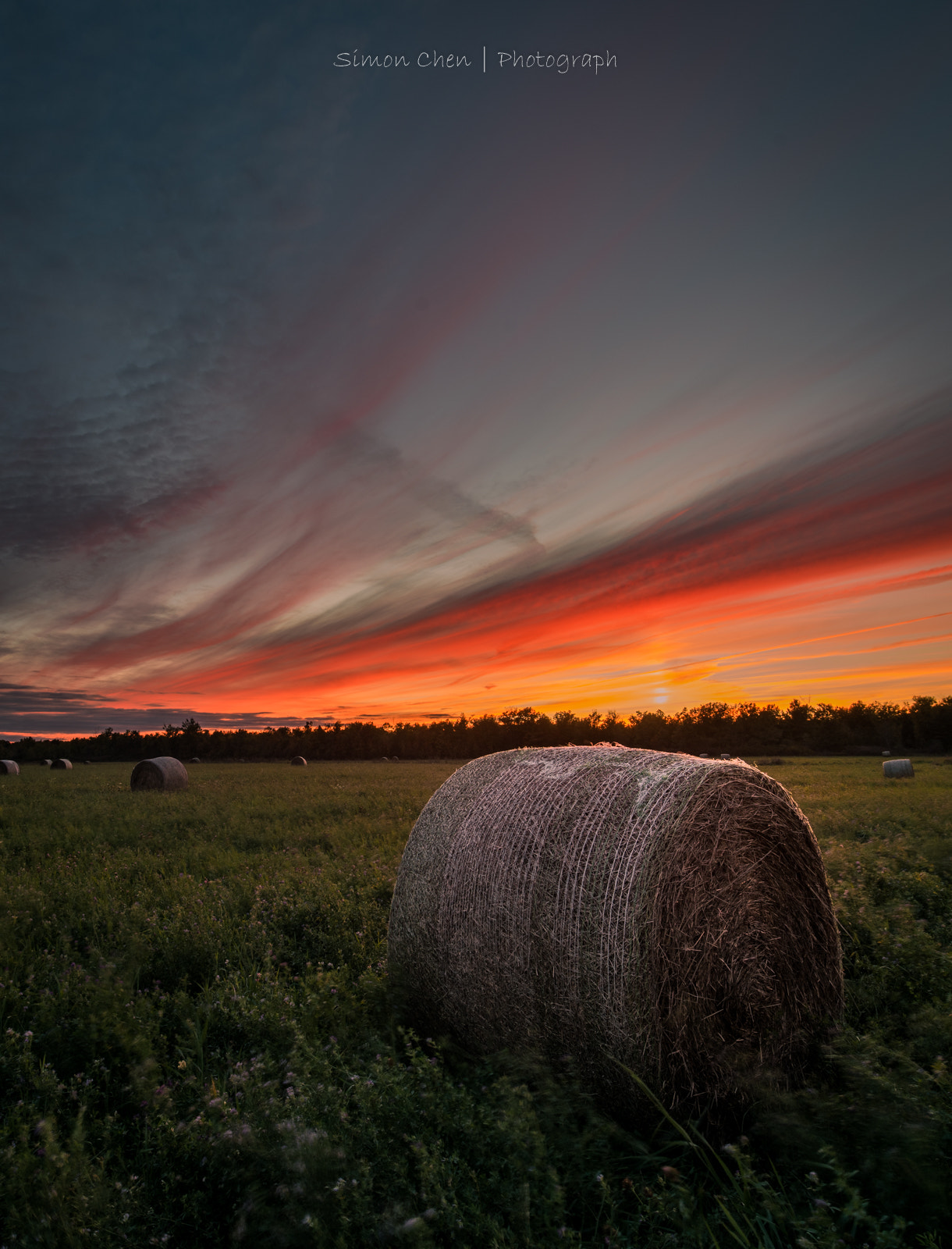 Nikon D810 sample photo. Sunset on the farm photography