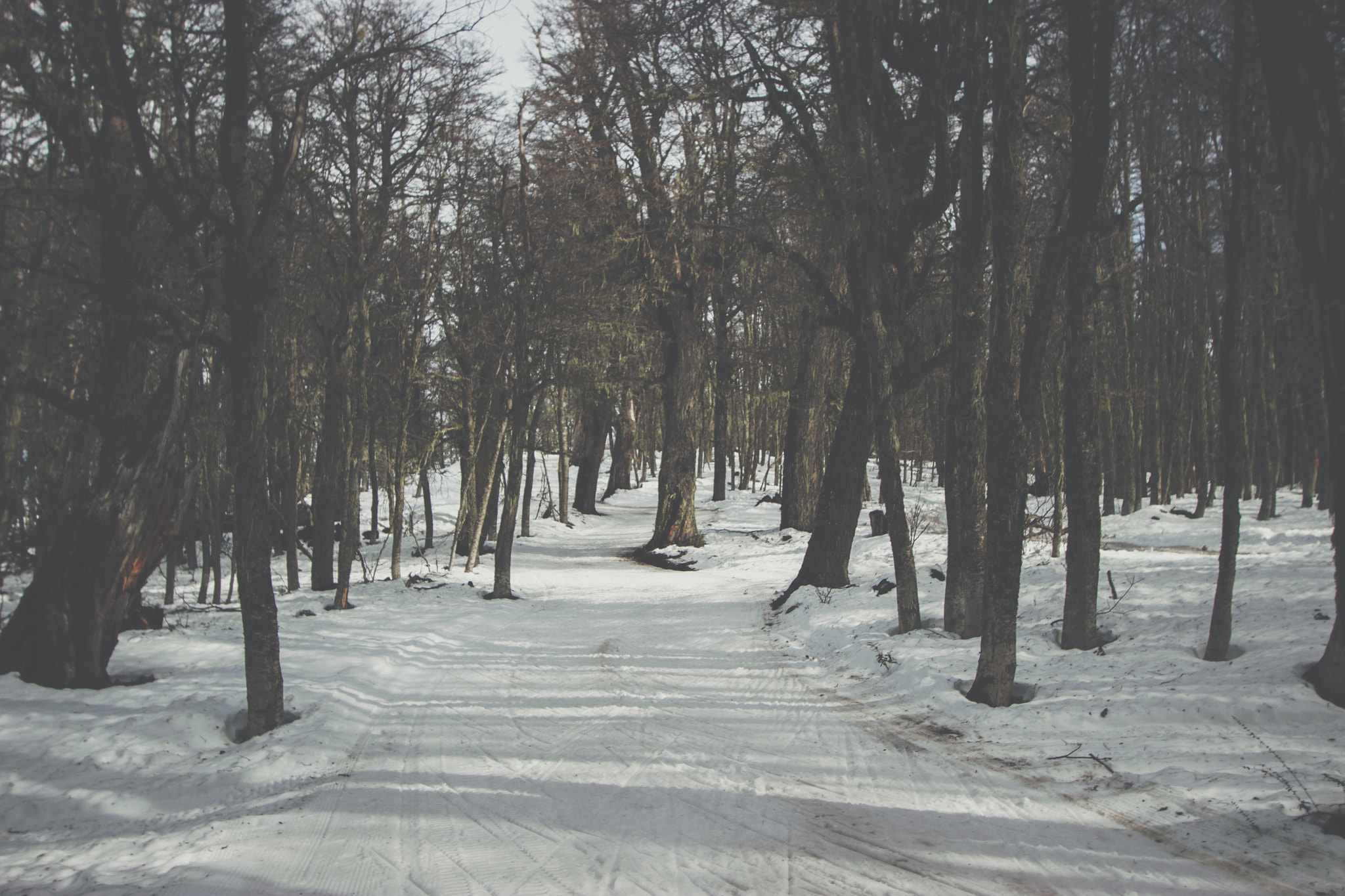 Canon EF-S 10-22mm F3.5-4.5 USM sample photo. Bariloche photography