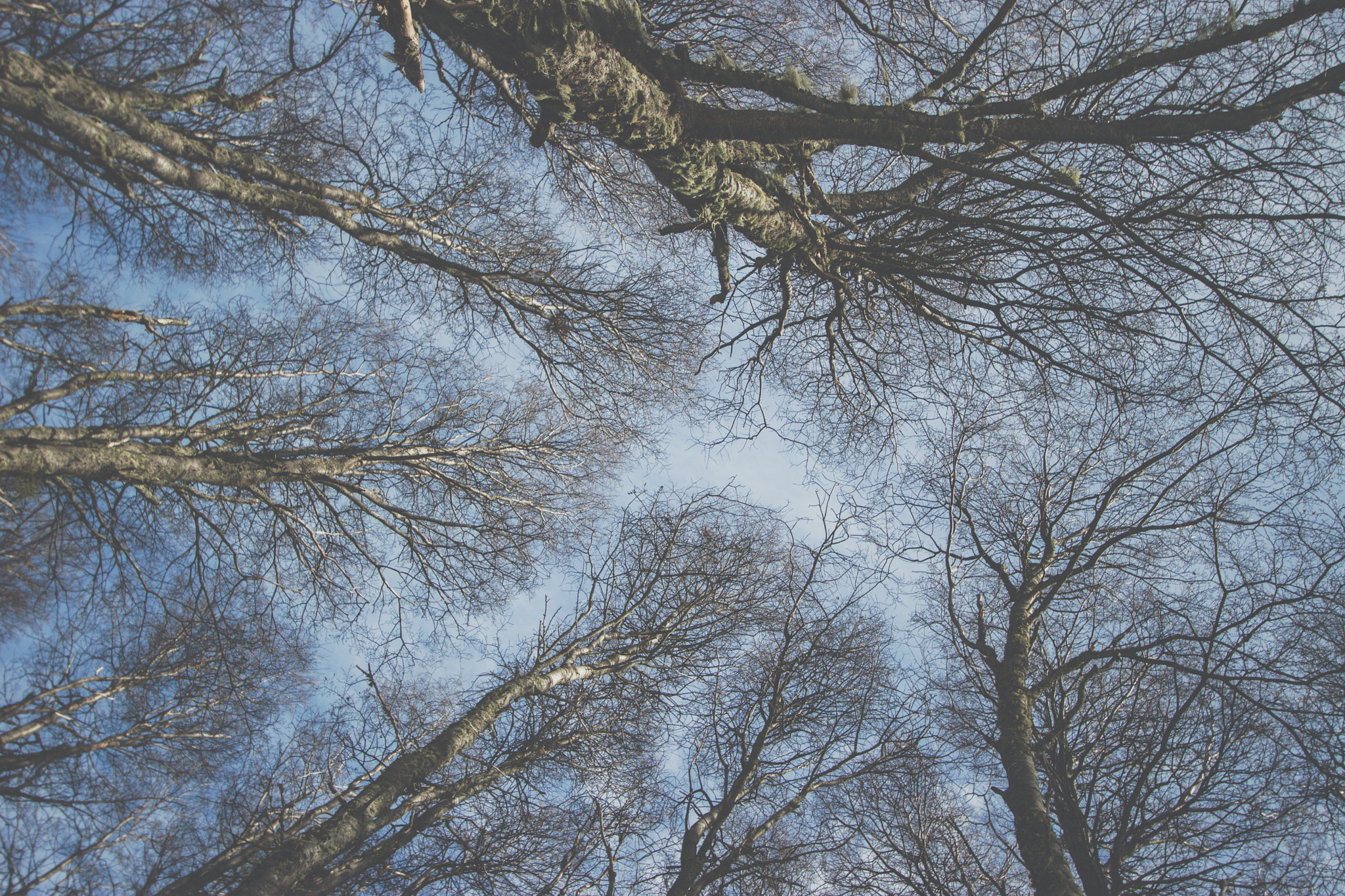 Canon EF-S 10-22mm F3.5-4.5 USM sample photo. Bariloche photography