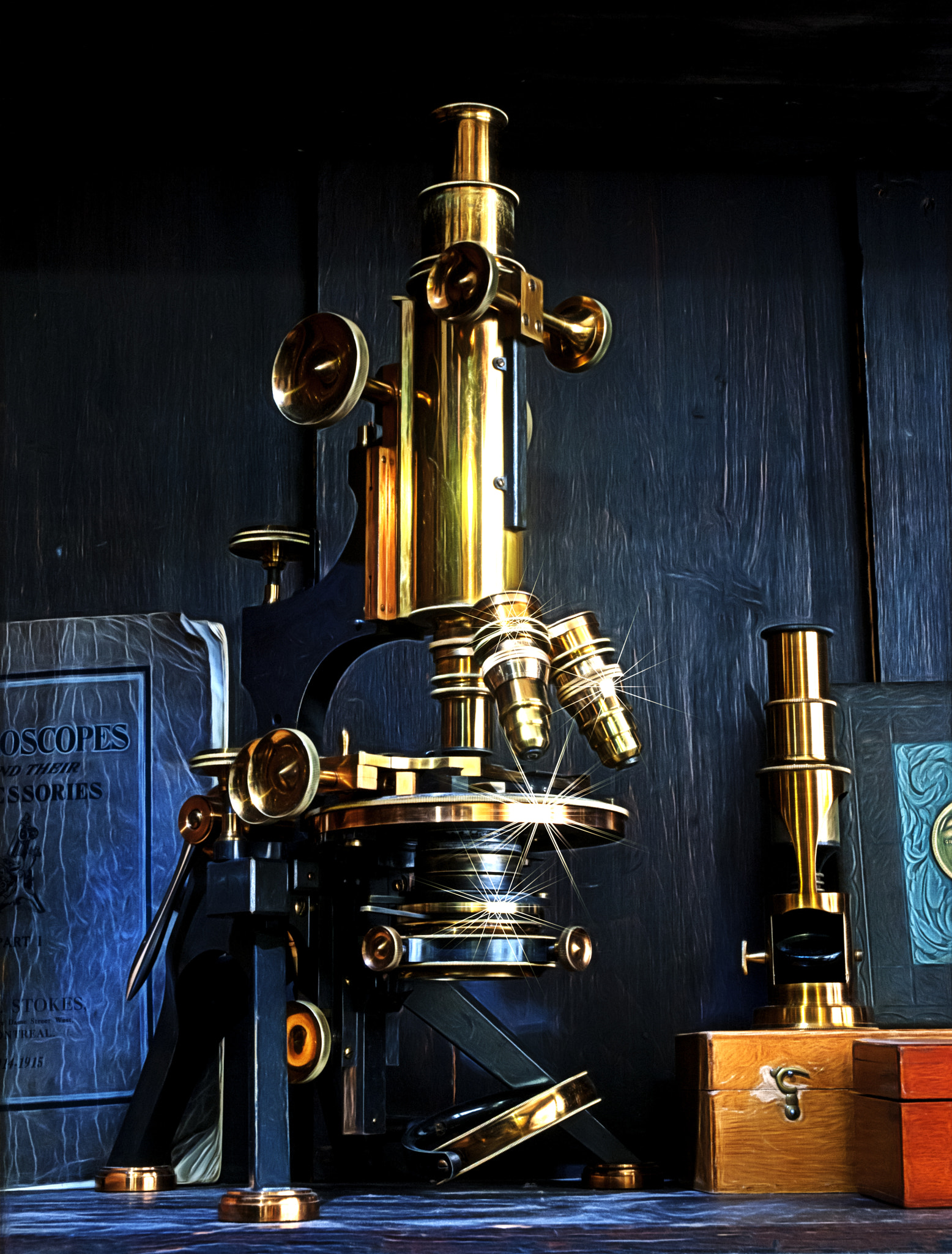 Nikon D300 sample photo. Microscope photography