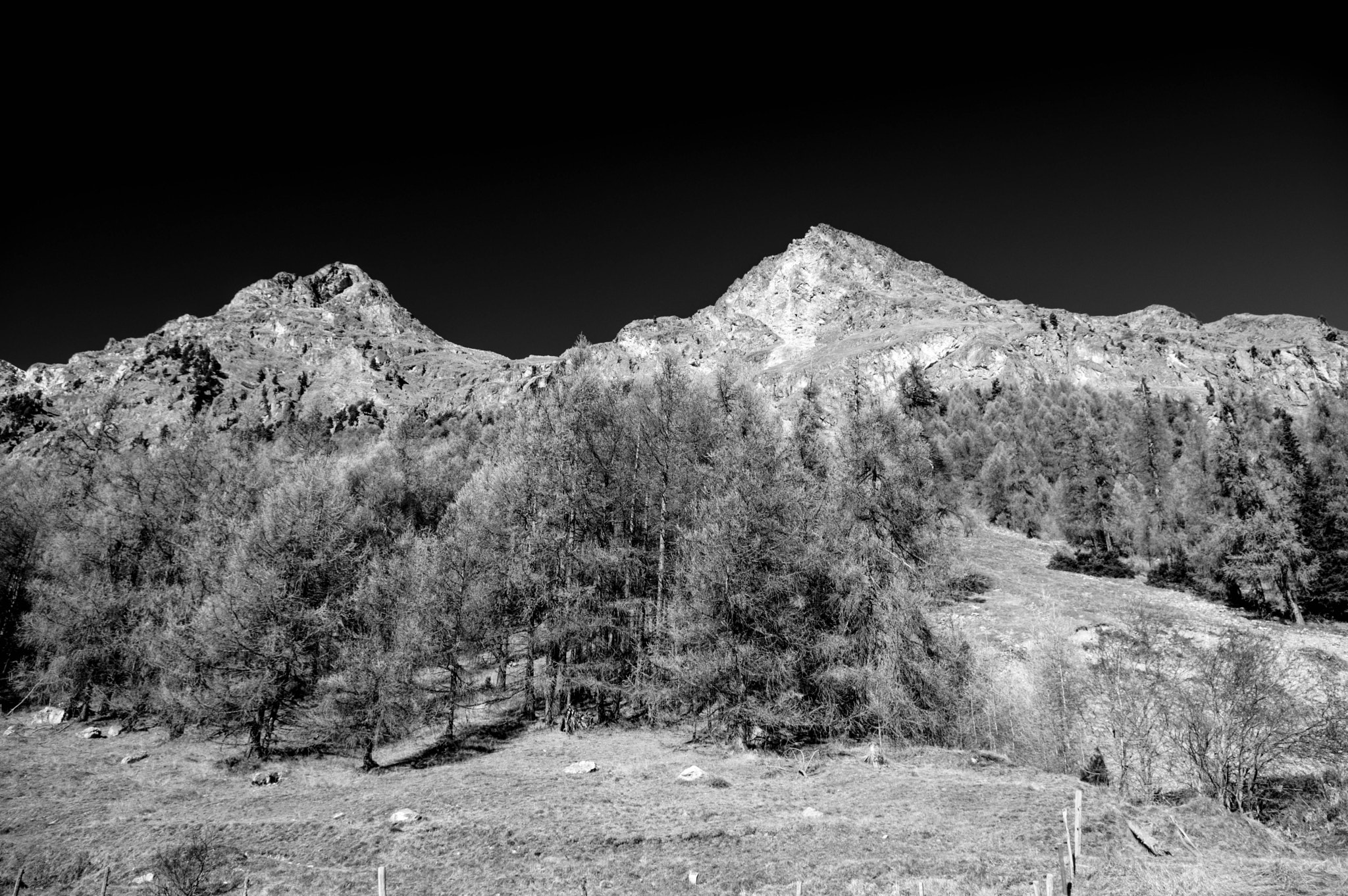 Pentax K-3 sample photo. Engadin photography
