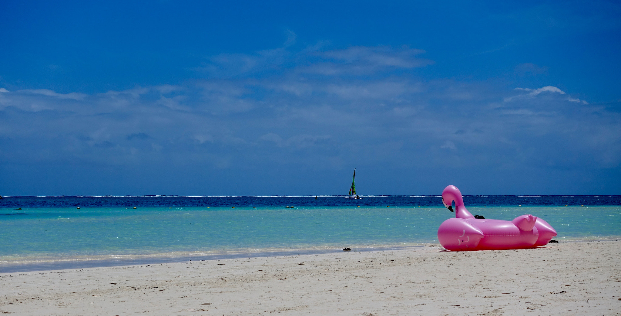 Sony Cyber-shot DSC-RX100 IV + Sony 24-70mm F1.8-2.8 sample photo. Flamingo! photography