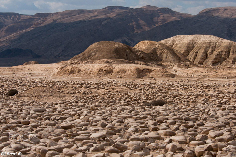 Nikon D300S sample photo. Desert photography