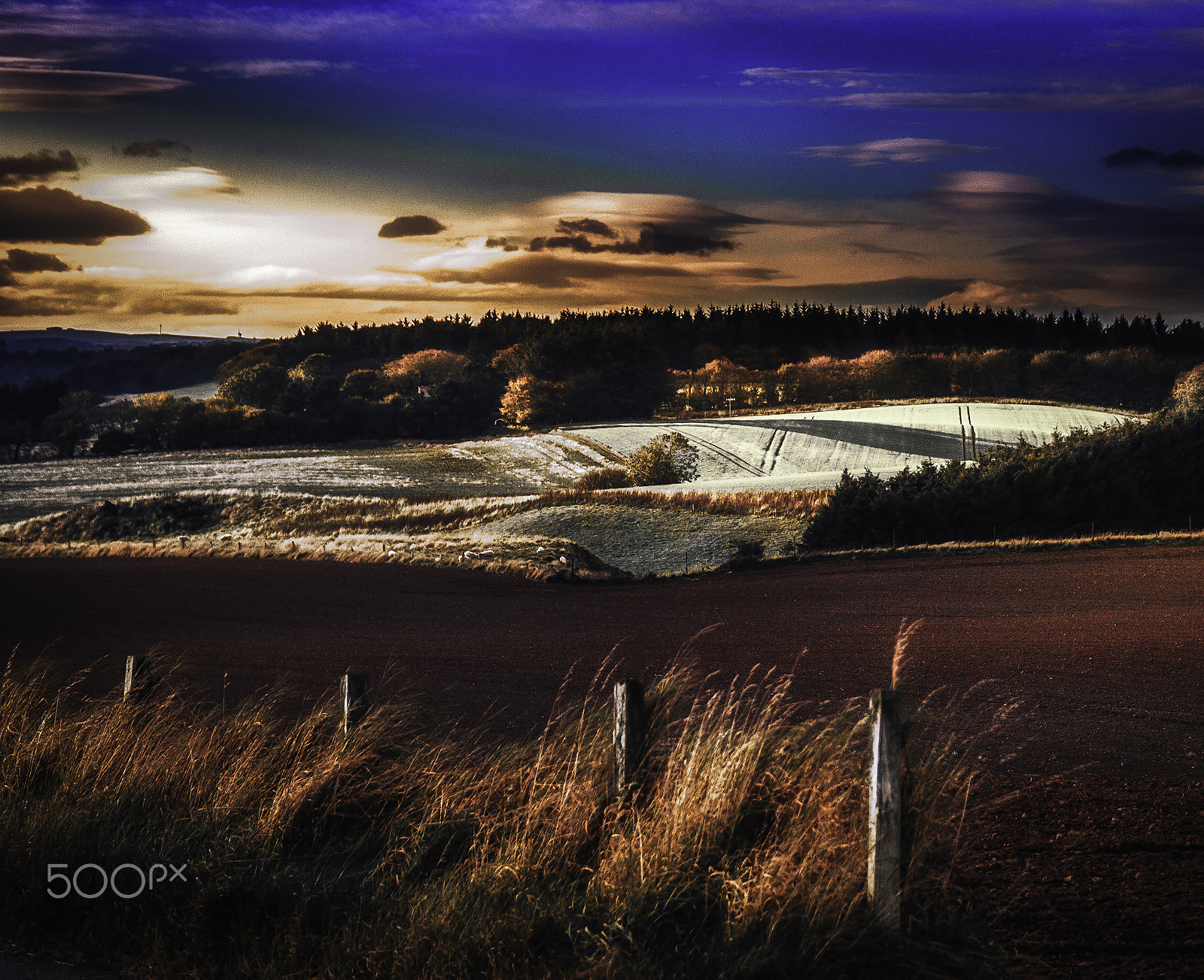 Sigma 24-105mm f/4 DG OS HSM | A sample photo. The scottish province photography